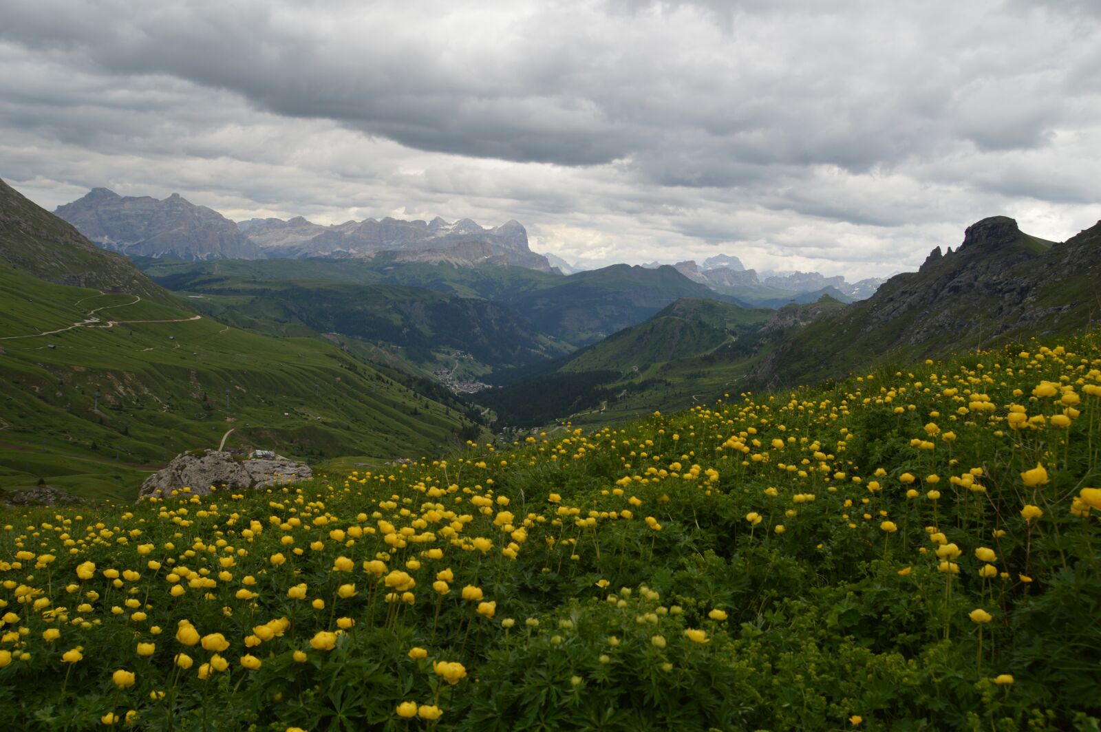 Nikon D3200 sample photo. Mountains, flowers, landscape photography