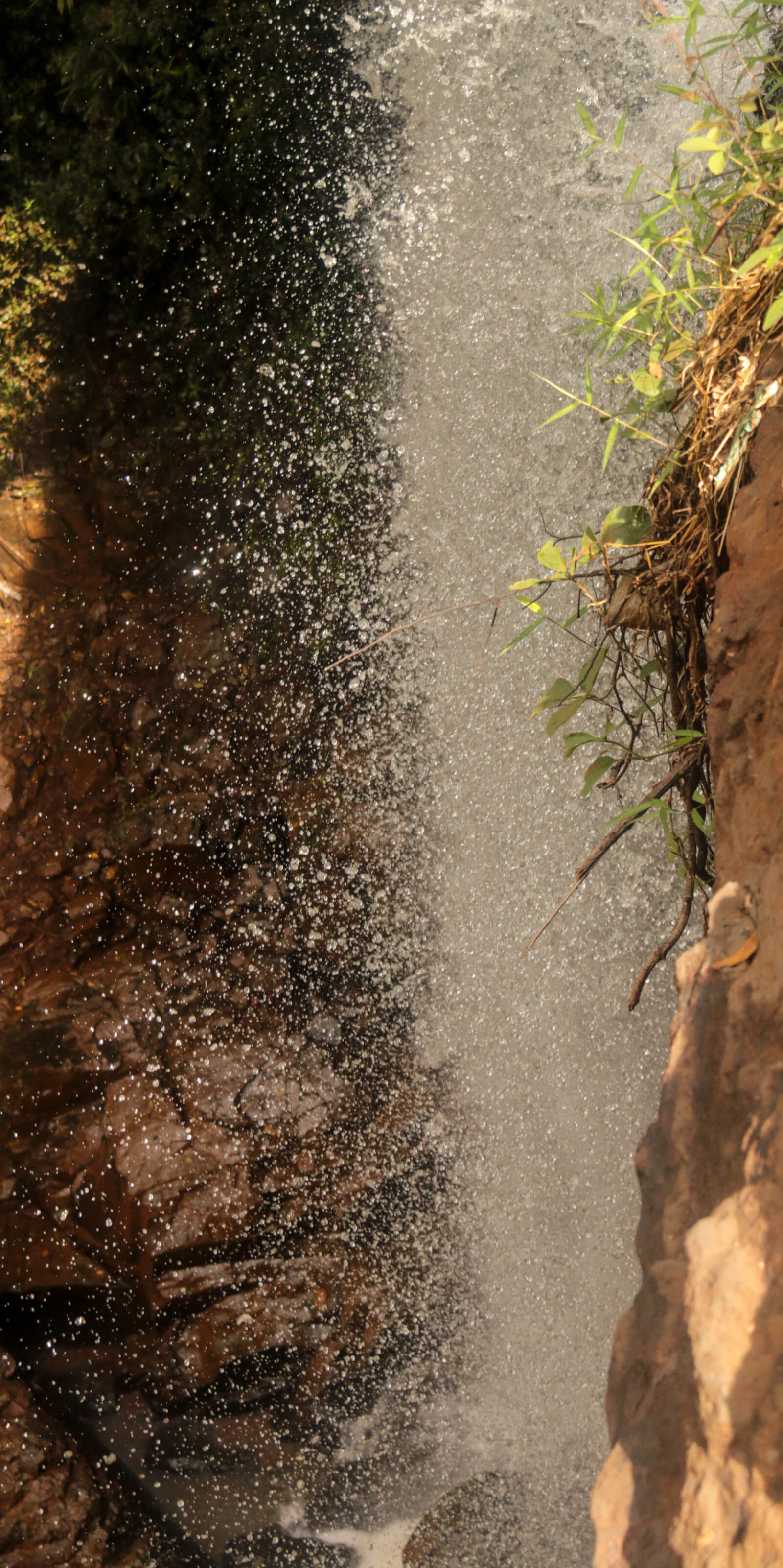 Canon EF-S 18-200mm F3.5-5.6 IS sample photo. Forest, nature, waterfall photography
