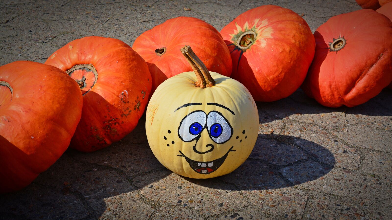 Nikon D5200 sample photo. Pumpkin, funny, painted photography