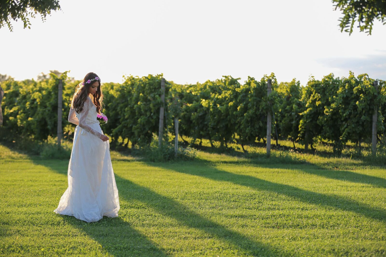 Canon EOS 5D Mark III sample photo. Vineyard, wedding dress, wedding photography