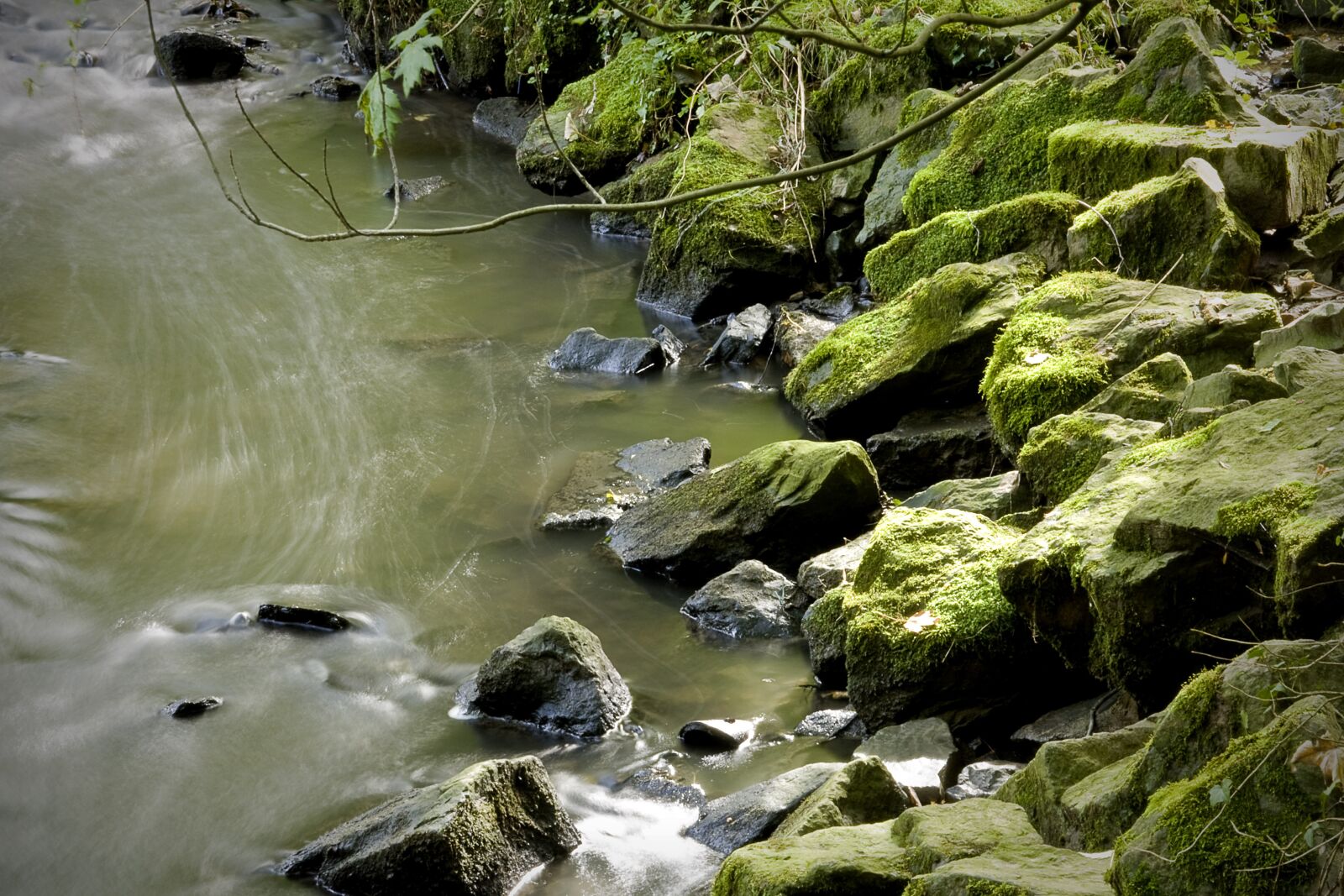 Canon EOS 1000D (EOS Digital Rebel XS / EOS Kiss F) sample photo. Moss, river, landscape photography