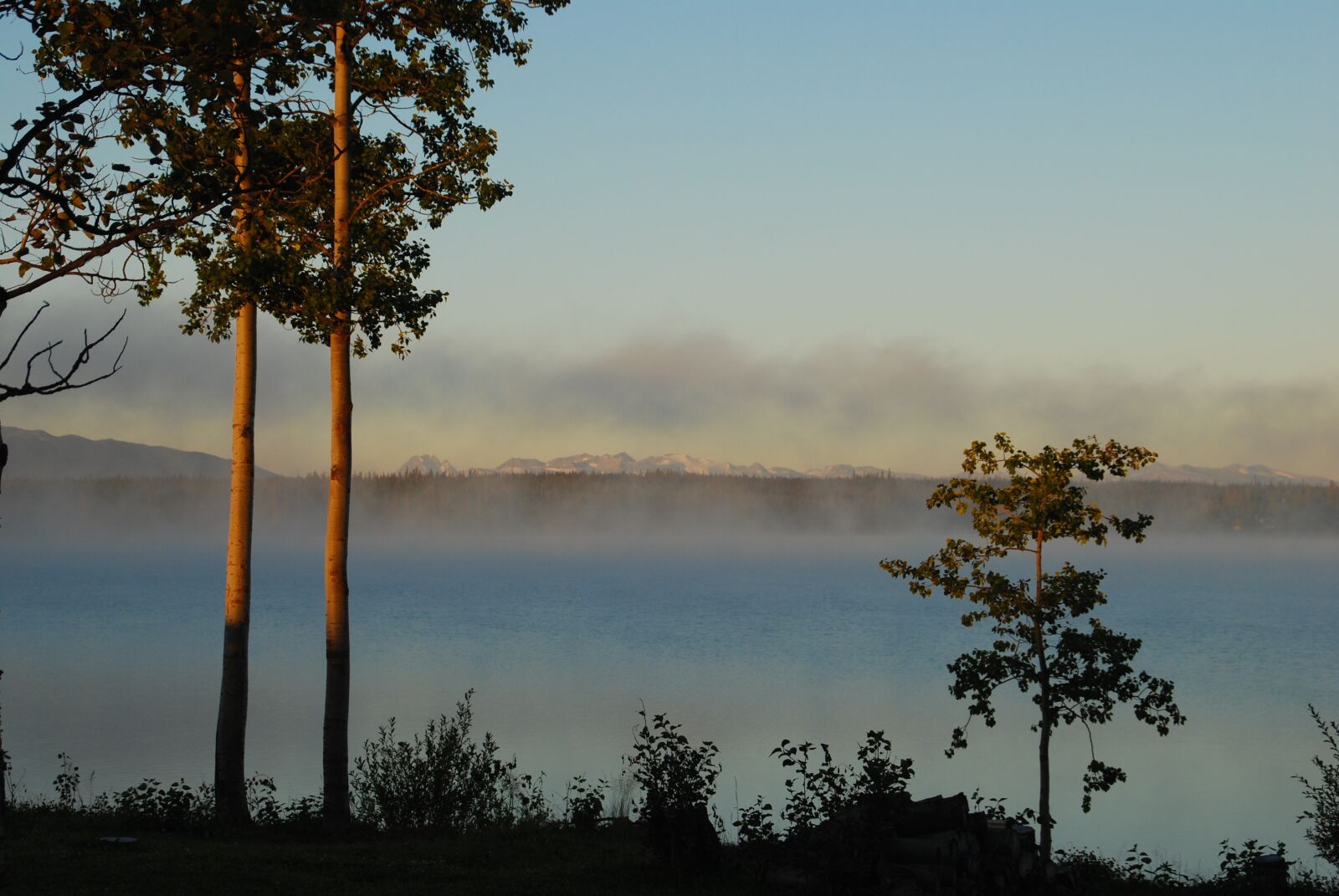 Nikon D60 sample photo. Morgenstimmung, lake, fog photography