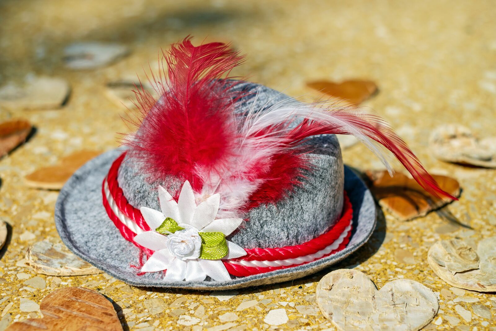Fujifilm X-T10 + Fujifilm XF 35mm F1.4 R sample photo. Hat, trachtenhut, costume photography