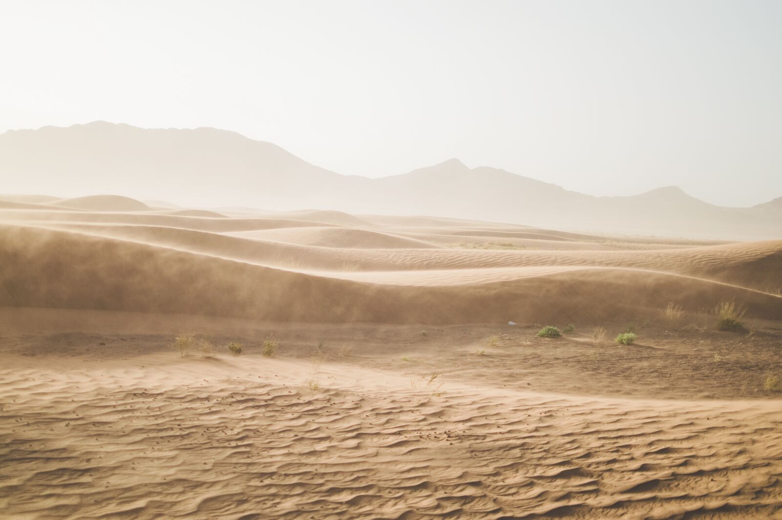 Nikon D3200 sample photo. Desert, sand, sand dunes photography