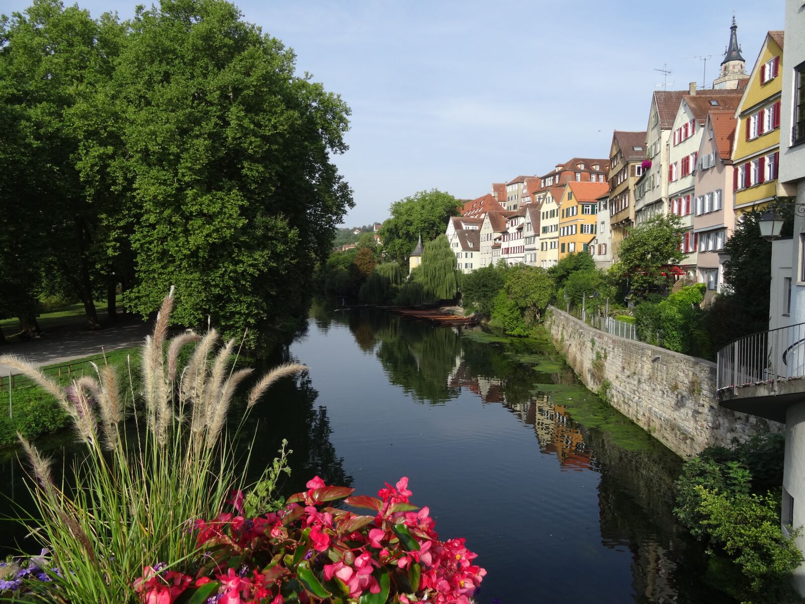 Sony Cyber-shot DSC-HX50V sample photo. T bingen, neckar, neckar photography