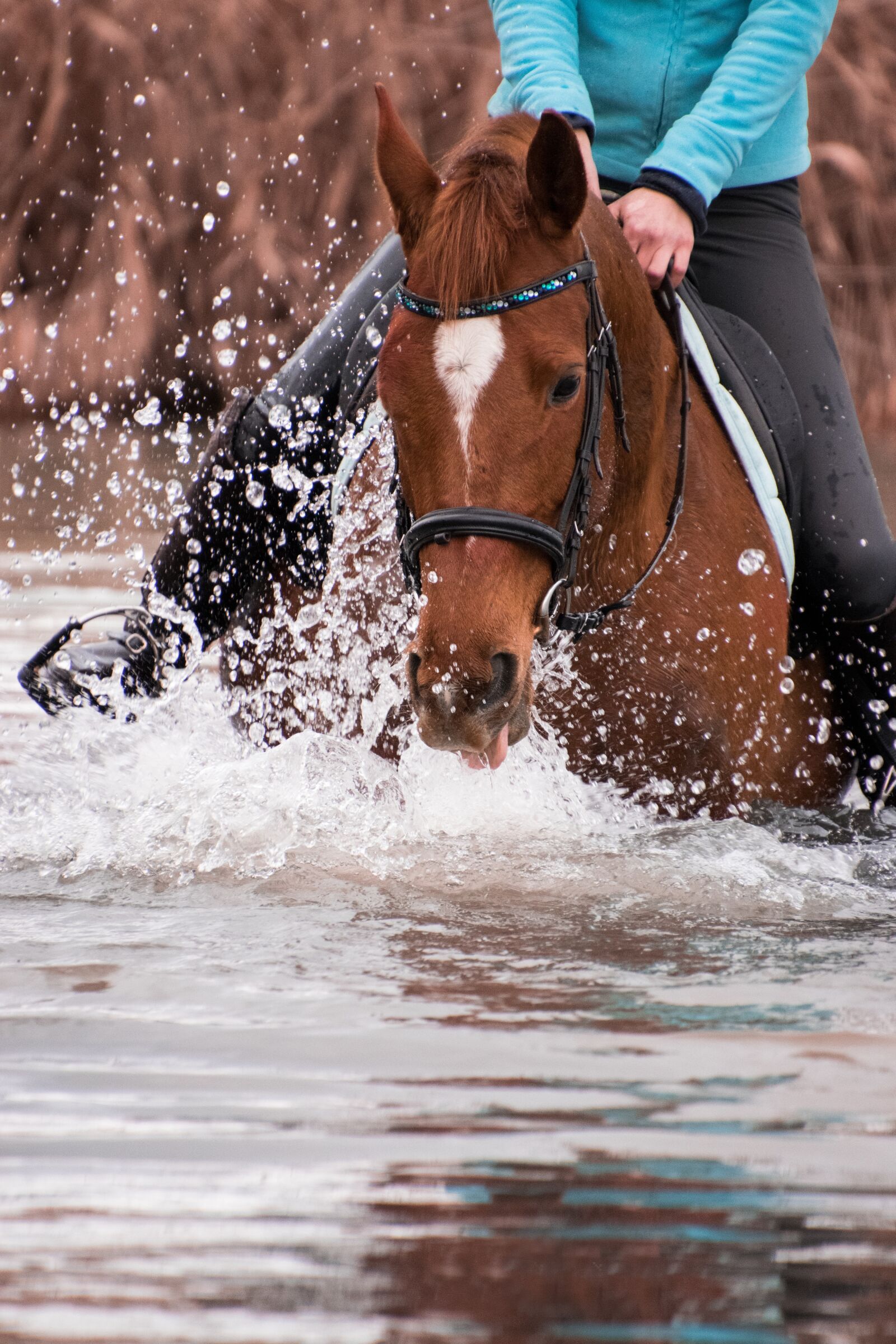 Nikon D3300 sample photo. Action, waters, sport photography
