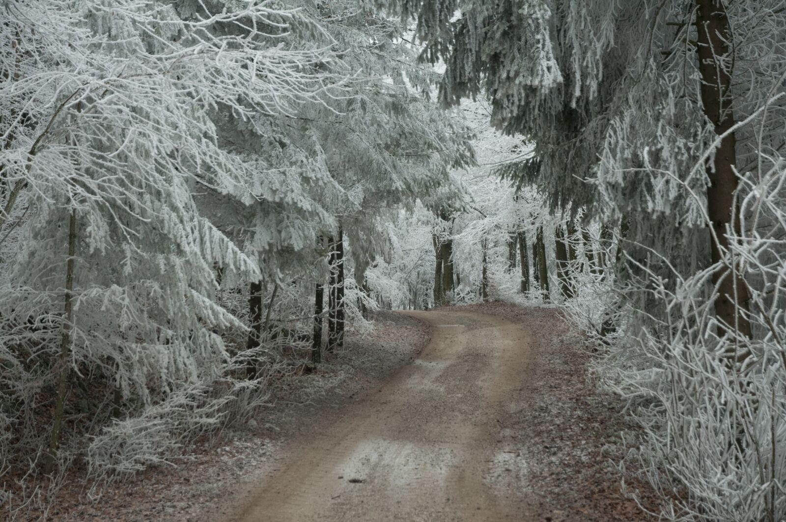 Nikon D300S sample photo. Ice, crystal, frozen photography