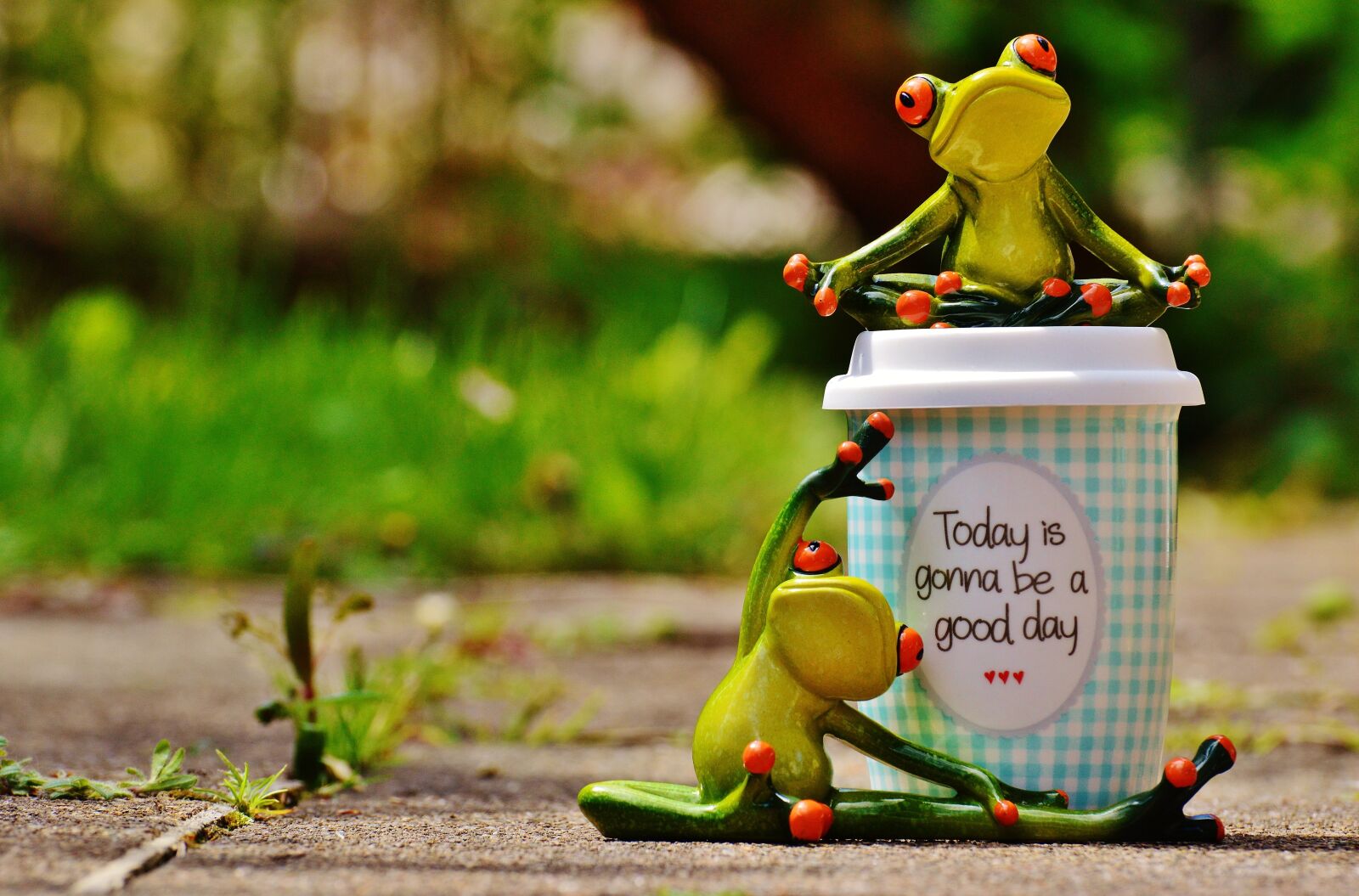 Nikon D3200 sample photo. Beautiful day, joy, frog photography