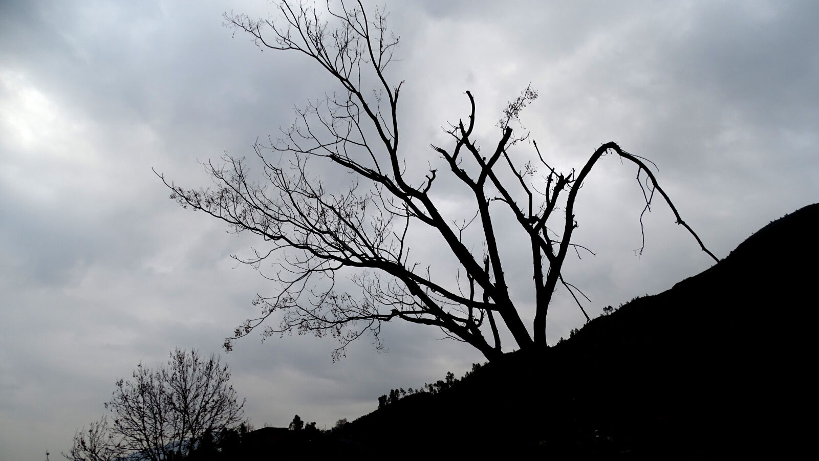 Sony Cyber-shot DSC-HX400V sample photo. Winter photography