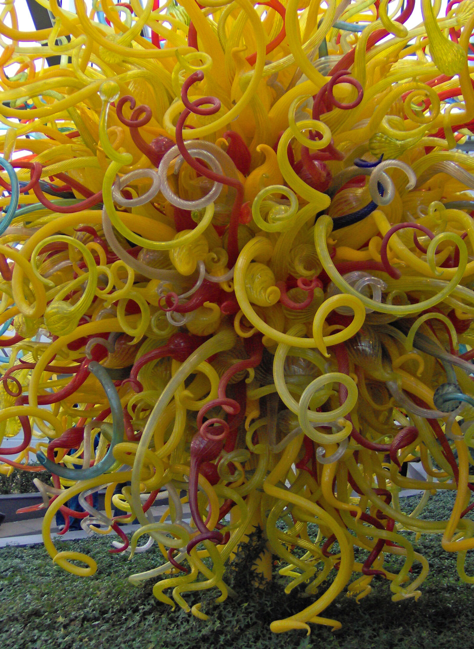 HP Photosmart M307 sample photo. Art, background, colorful, curly photography