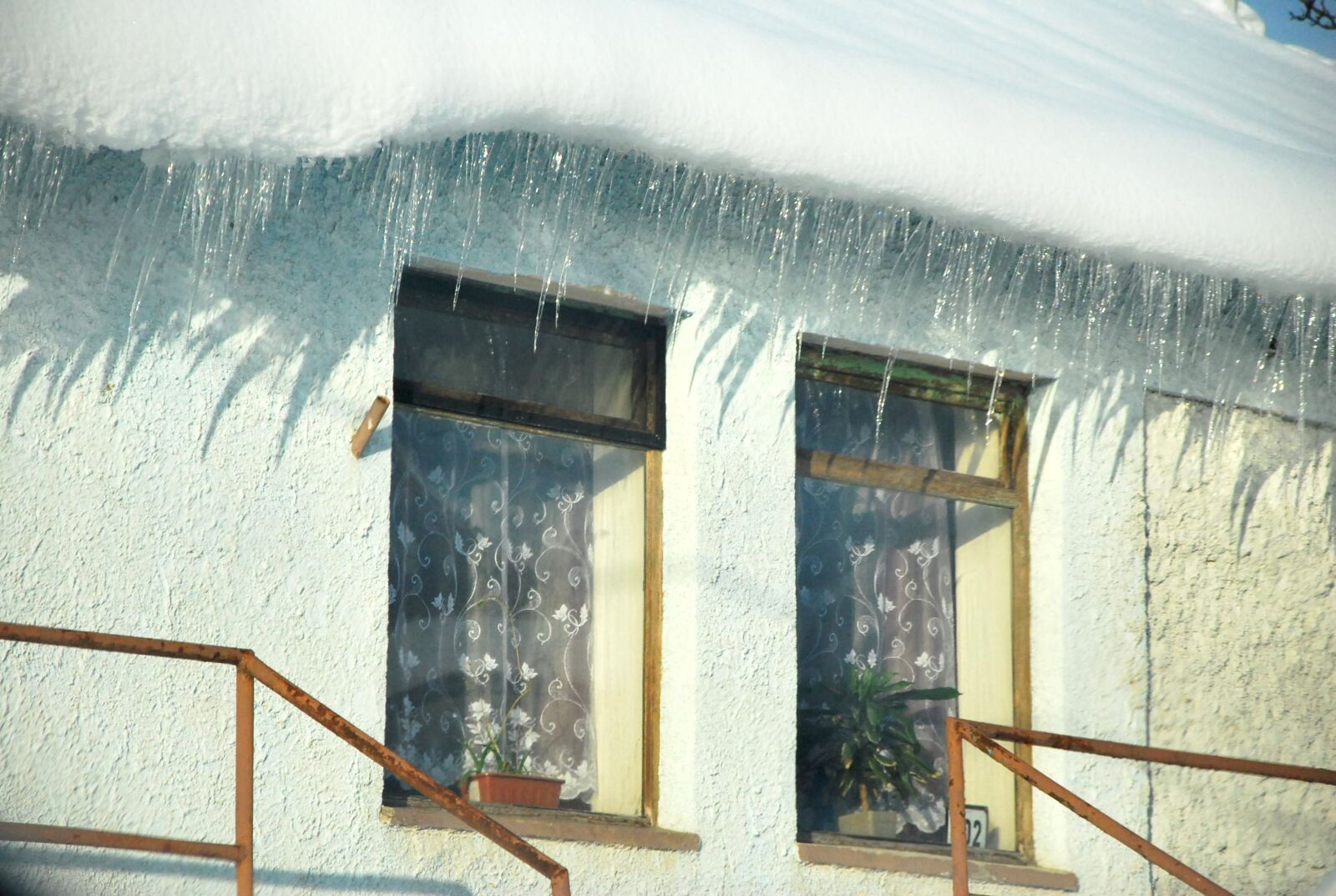 Nikon D60 sample photo. Window photography