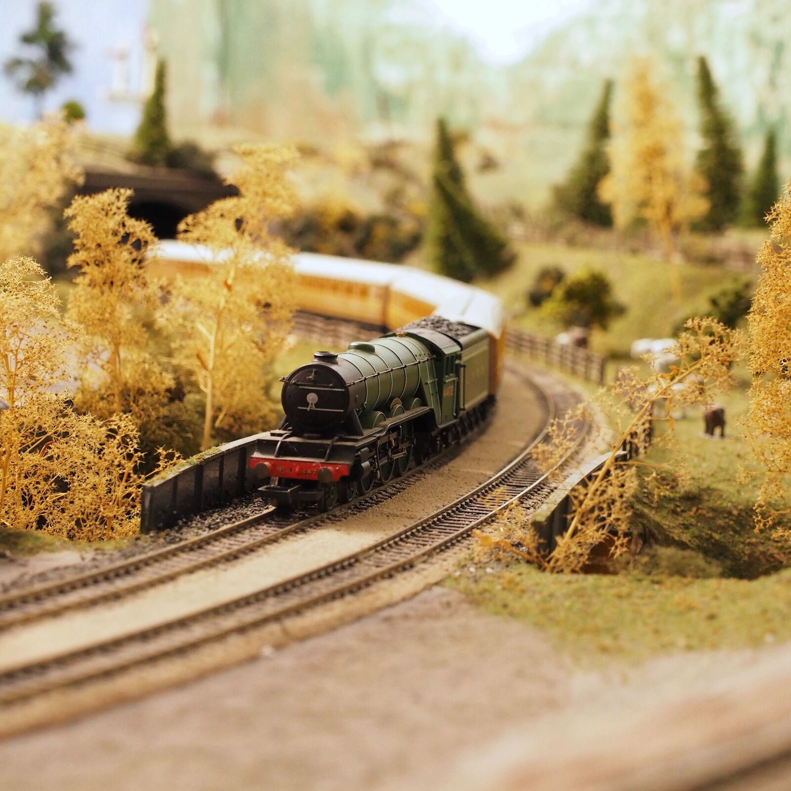 Olympus OM-D E-M1 sample photo. Black, and, red, miniature photography