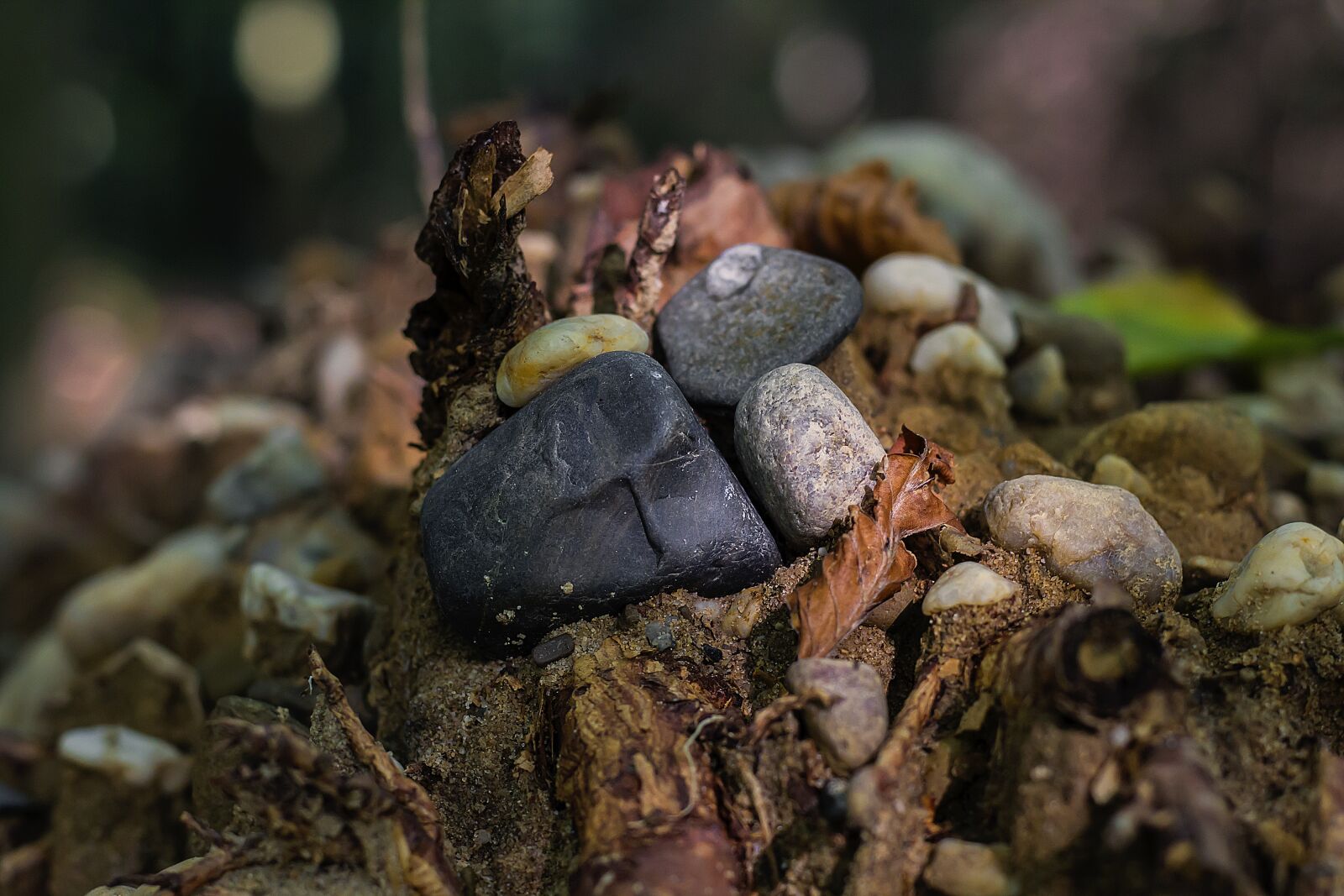 Canon EOS 600D (Rebel EOS T3i / EOS Kiss X5) + Canon EF 50mm F1.8 STM sample photo. Stones, nature, colorful photography