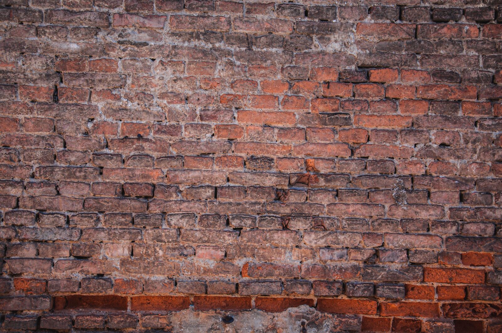 Nikon D90 sample photo. Brick, wall, texture photography