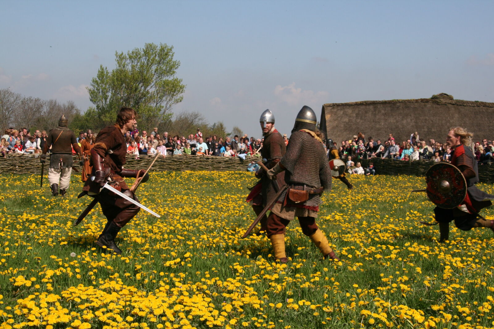 Sigma 18-200mm f/3.5-6.3 DC OS sample photo. Vikings photography