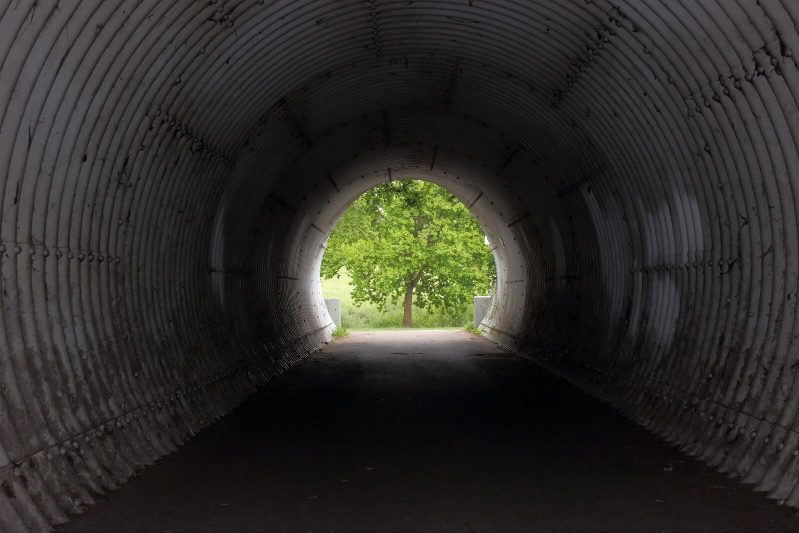 Canon EOS 100D (EOS Rebel SL1 / EOS Kiss X7) sample photo. Tunnel, tree, light photography