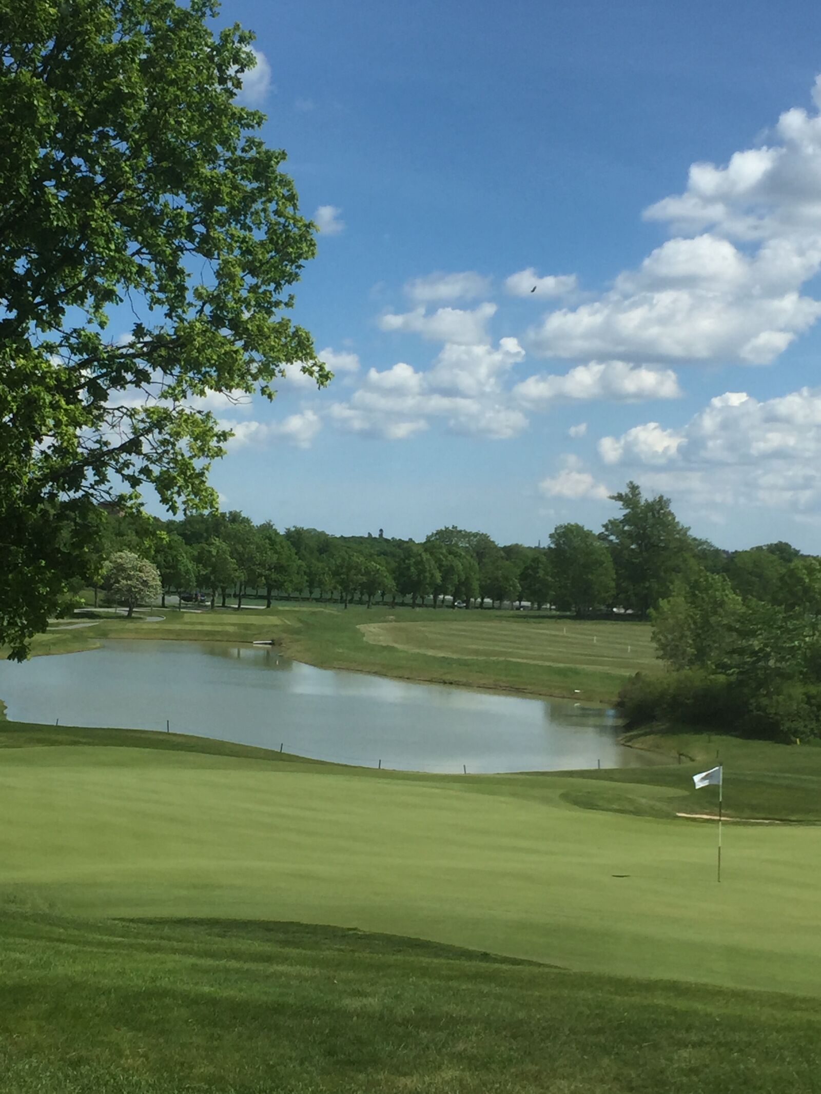 iPhone 6 back camera 4.15mm f/2.2 sample photo. Golf, club photography