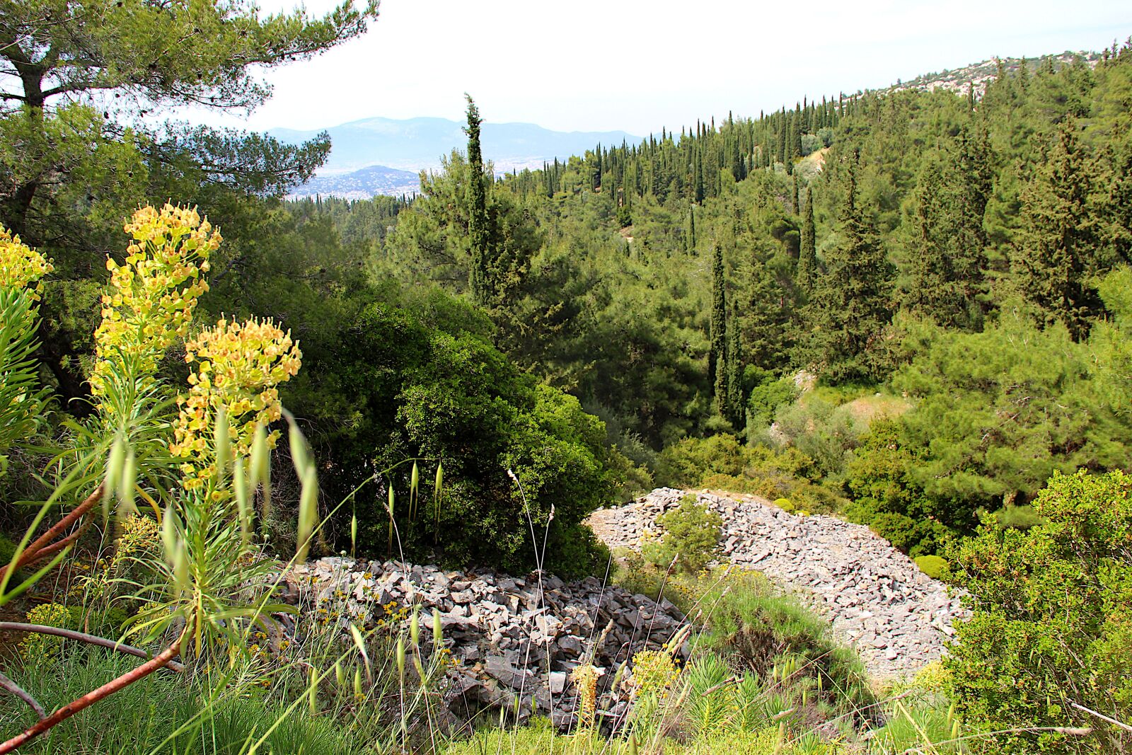 Canon EOS 4000D (EOS Rebel T100 / EOS 3000D) sample photo. Mountain, woodland, greece photography