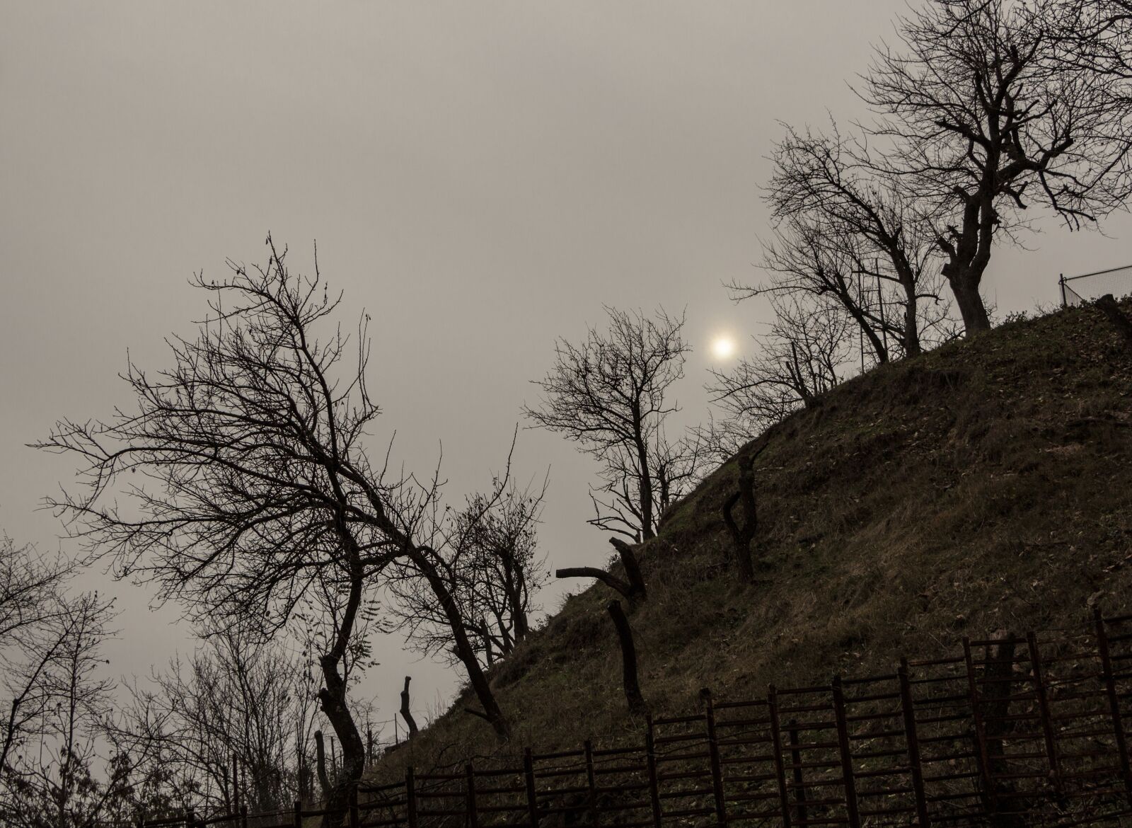 Canon EOS 700D (EOS Rebel T5i / EOS Kiss X7i) sample photo. Autumn, bare, fence photography