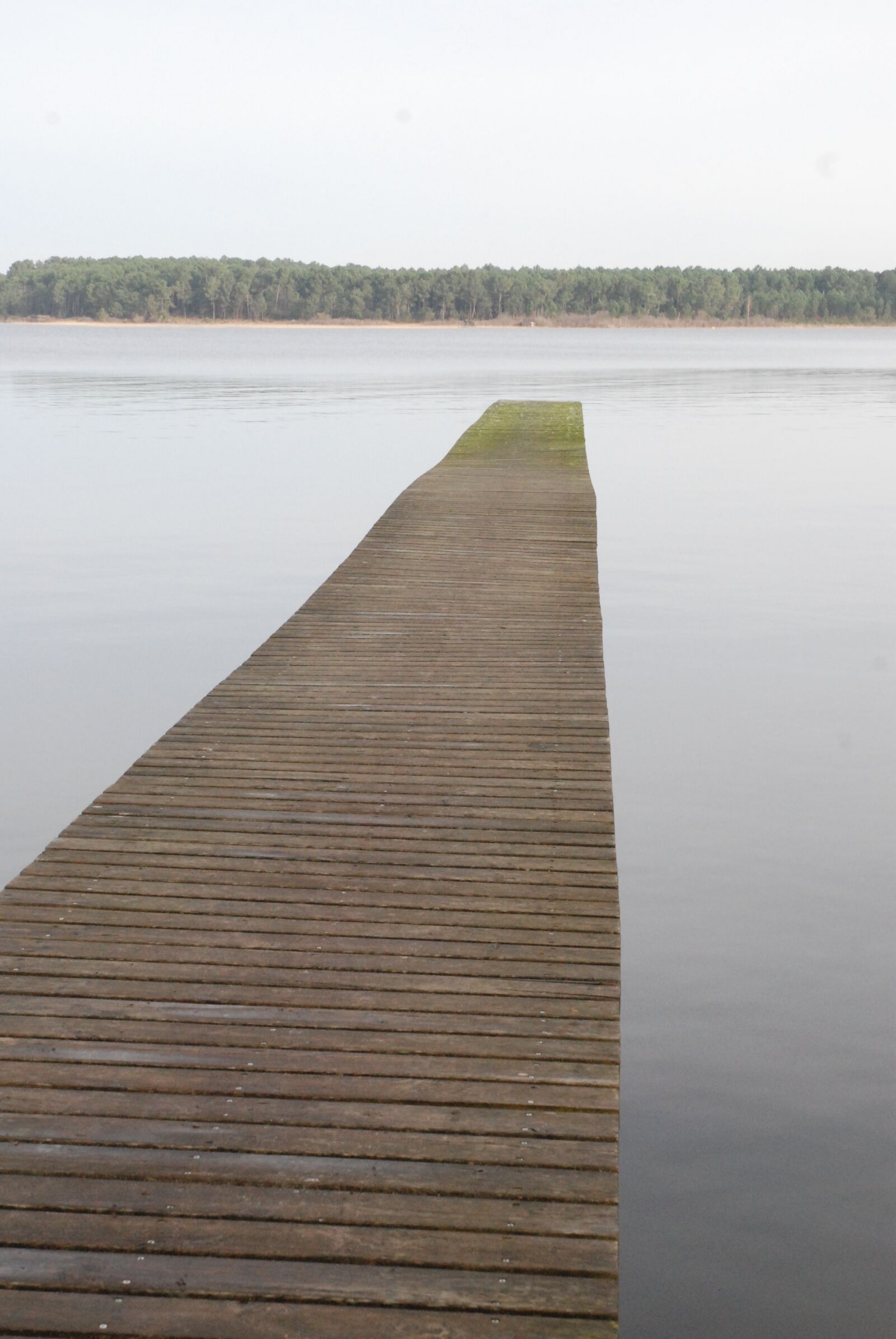 Nikon D80 sample photo. Pontoon, lake, environment photography