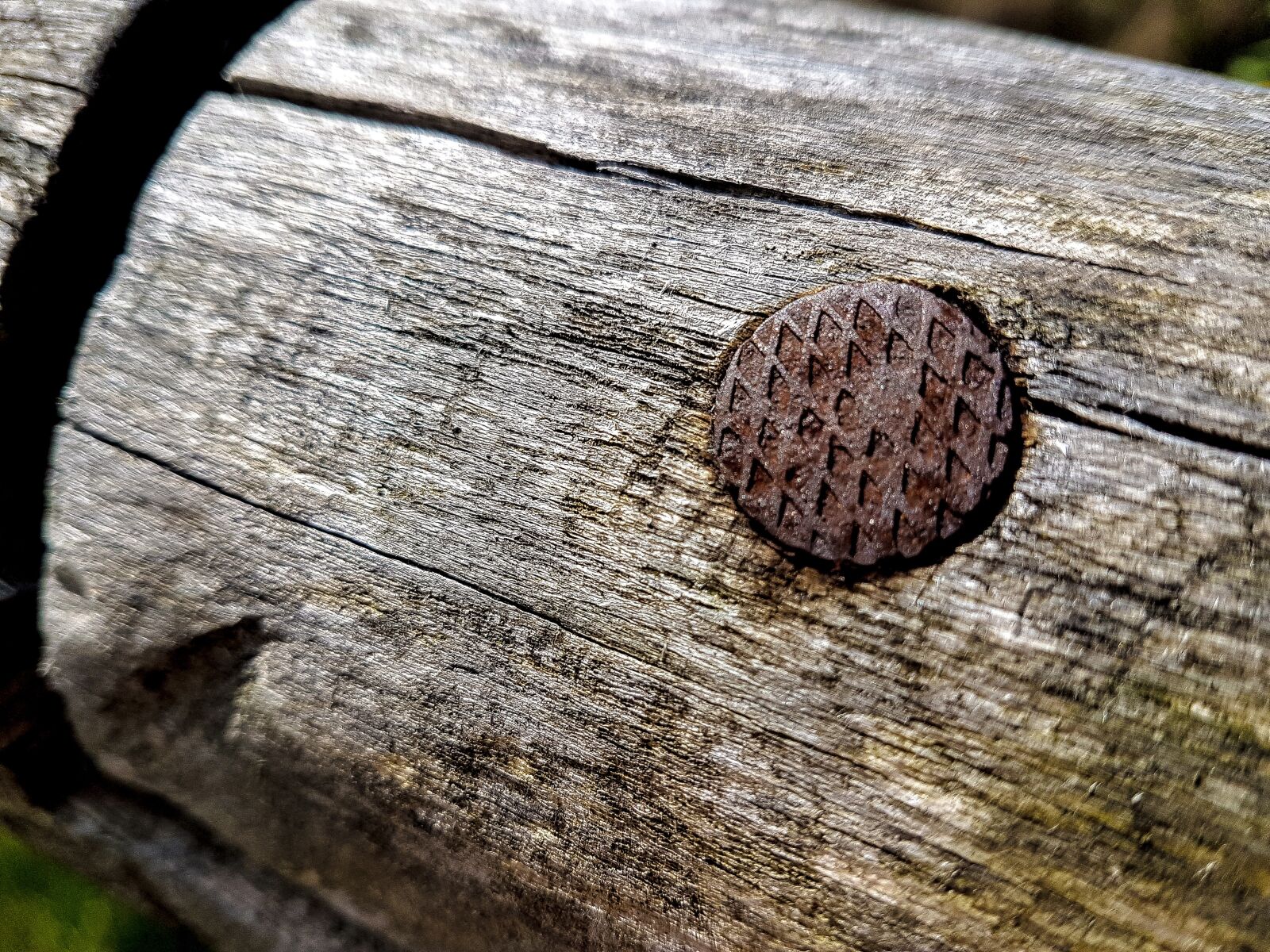 Samsung Galaxy S7 sample photo. Wood, nail, rusty photography