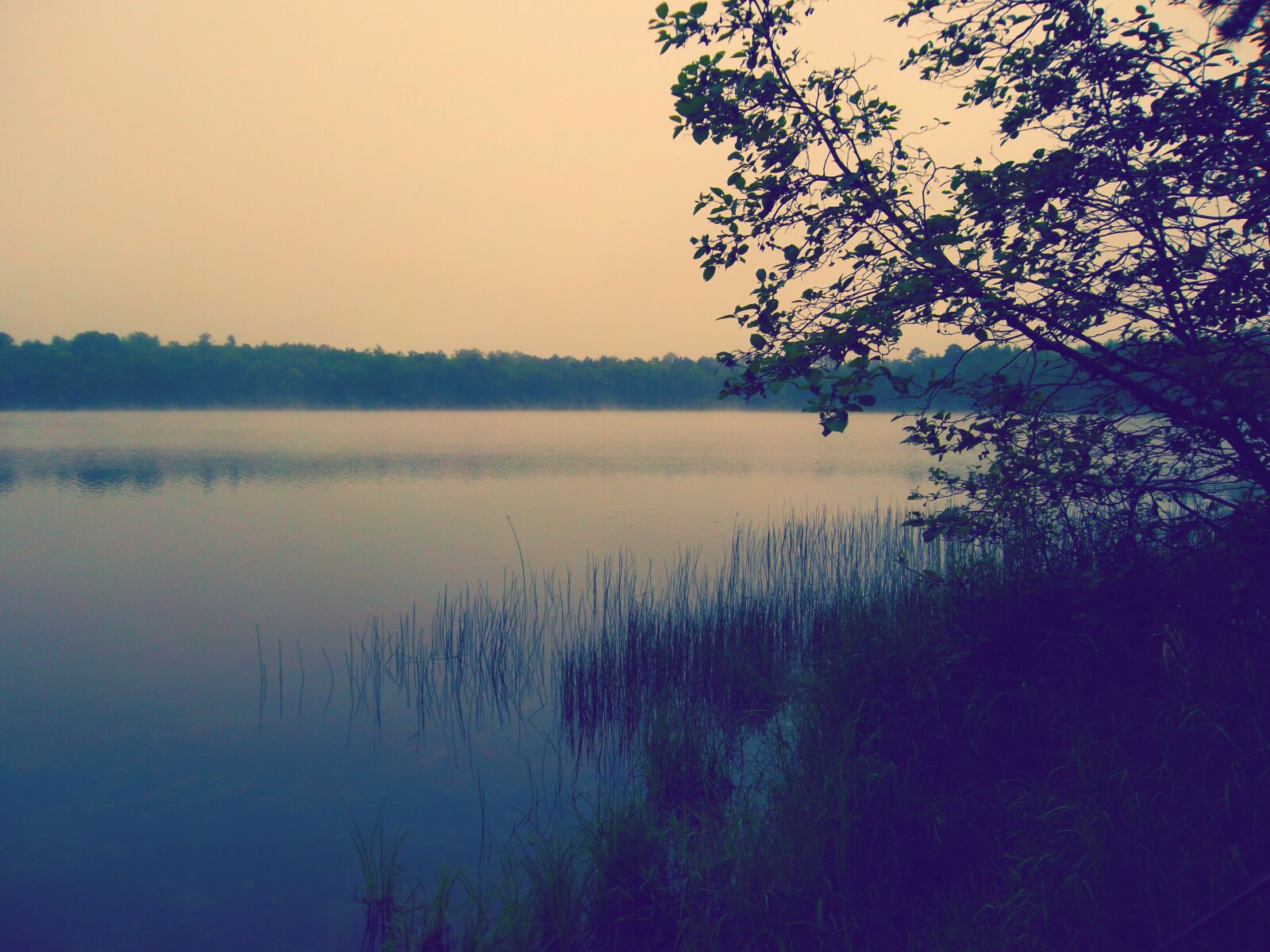 Samsung ST65 sample photo. Gloomy, lake, view, wisconsin photography