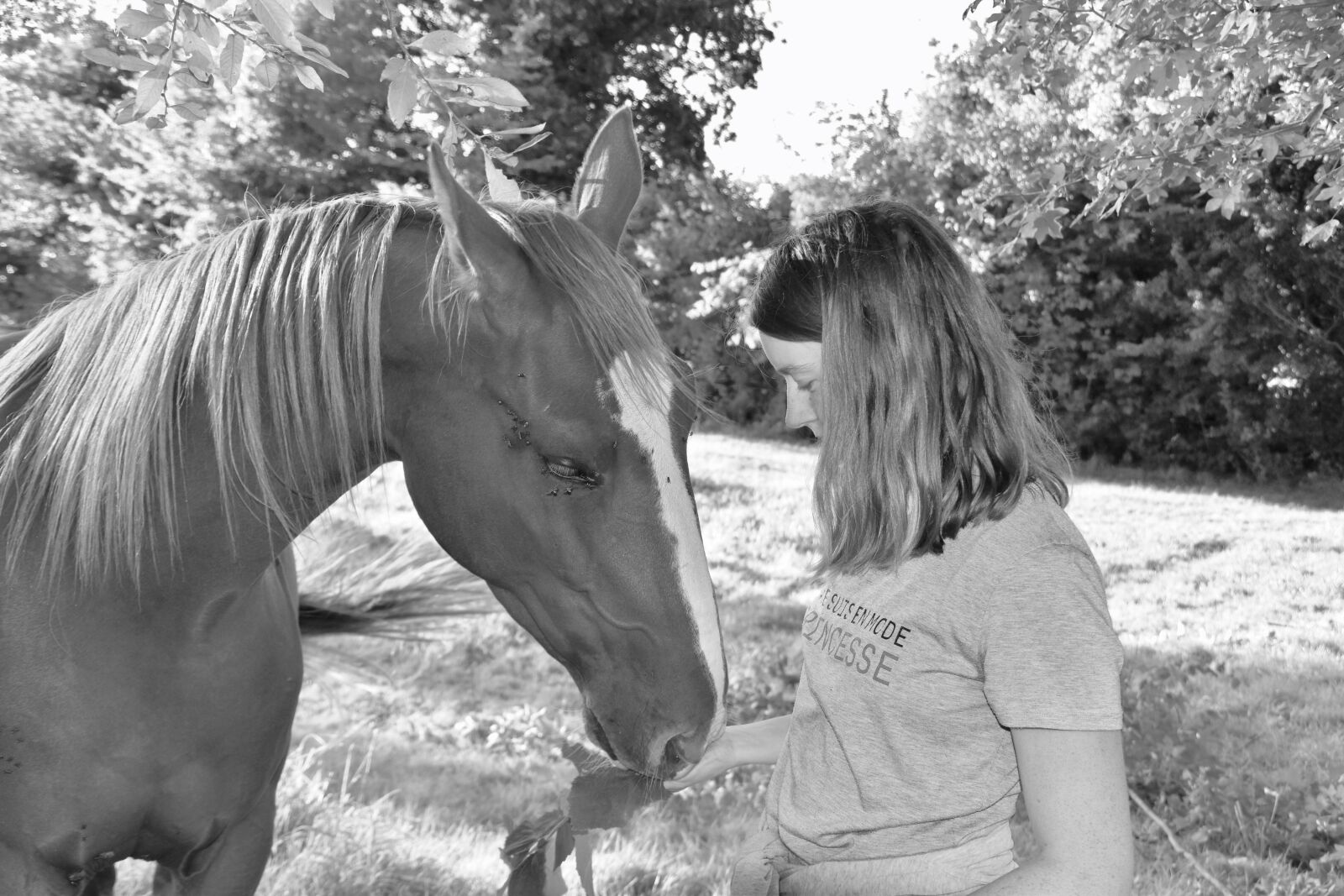 Nikon D5600 sample photo. Girl with her horse photography