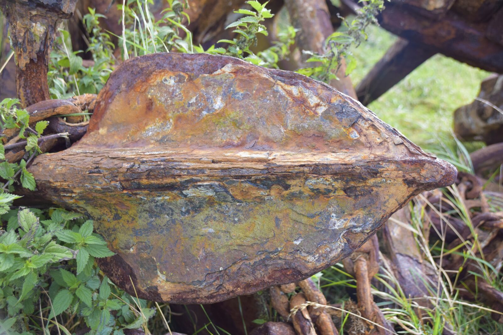 Nikon D5300 sample photo. Anchor, rust, metal photography