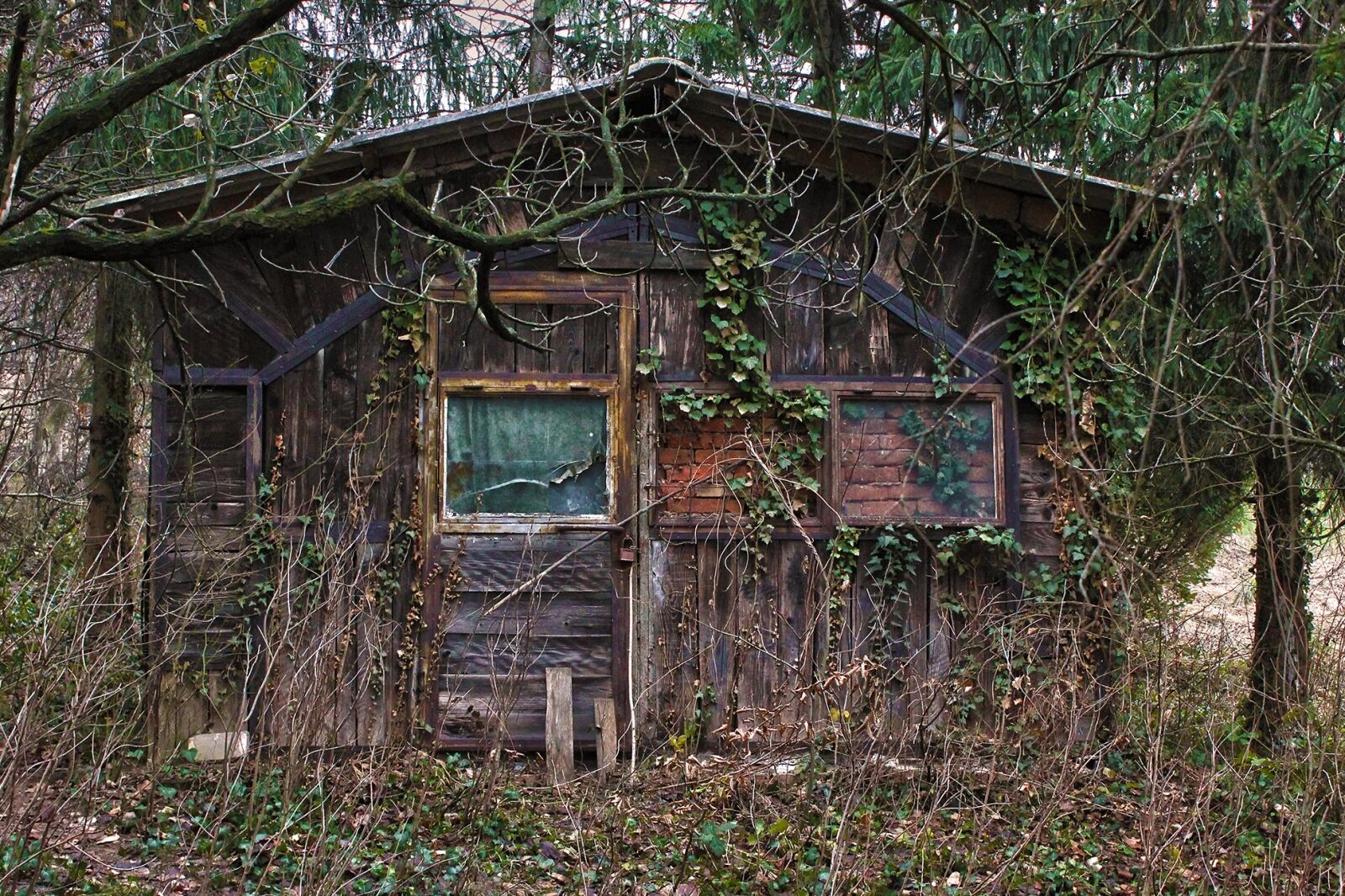 Canon EOS 550D (EOS Rebel T2i / EOS Kiss X4) sample photo. House, abandoned, old photography