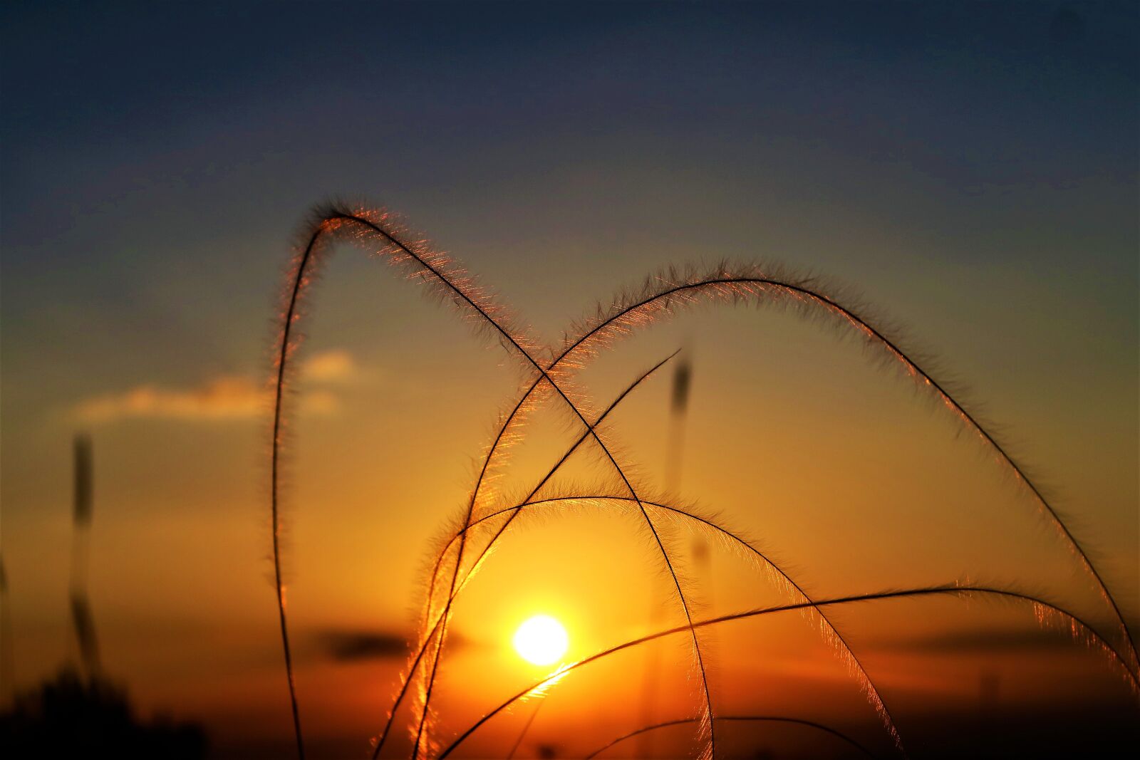 Canon PowerShot G7 X sample photo. Sunset, in the evening photography