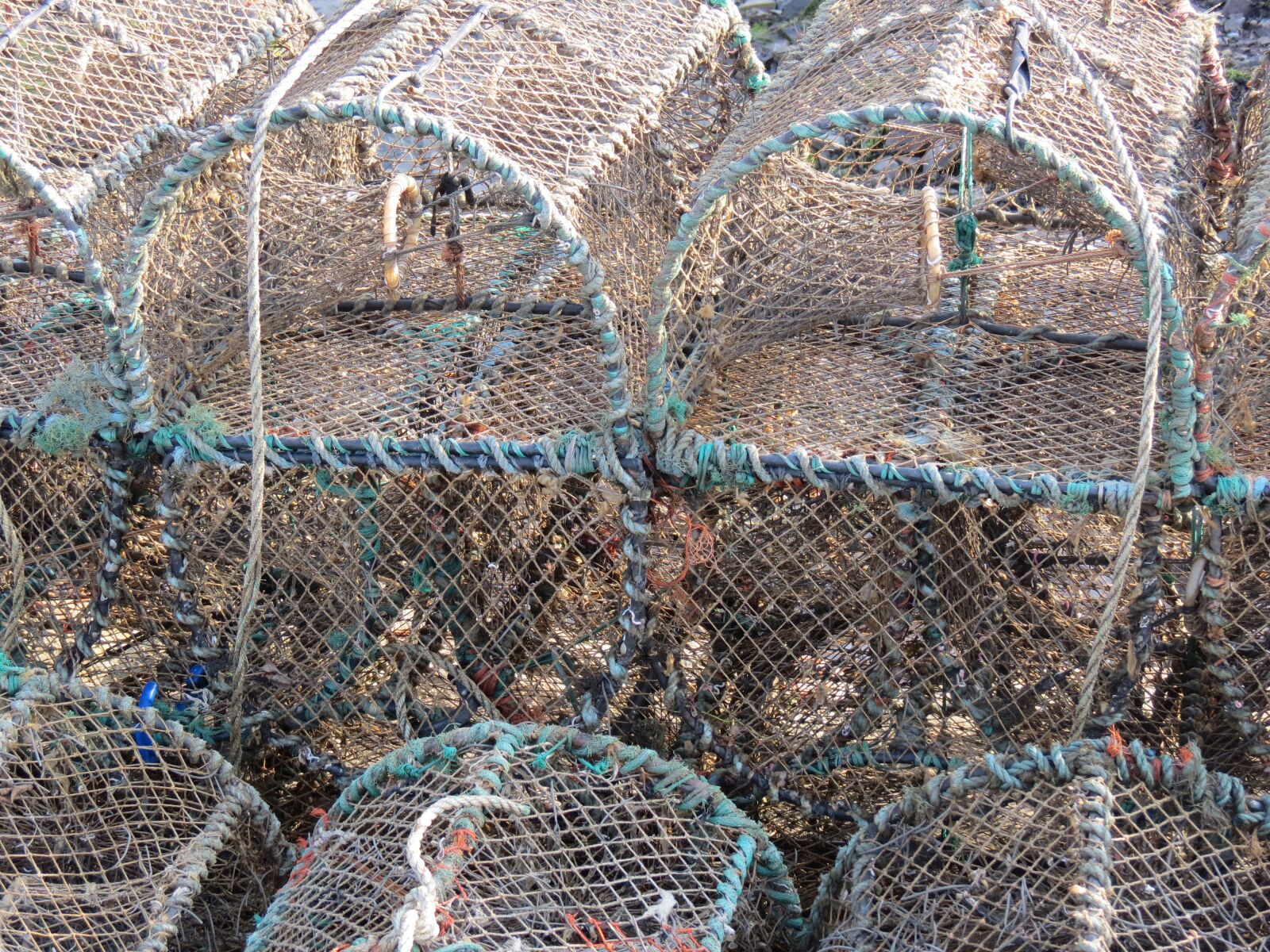 Canon PowerShot SX40 HS sample photo. Lobster, basket, trap photography