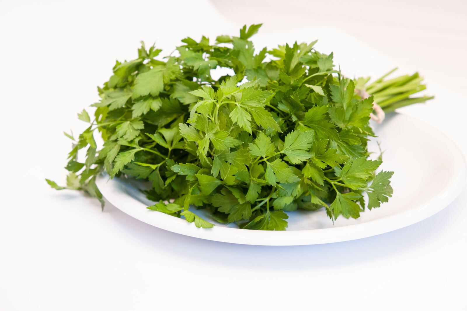 Leica CL sample photo. Parsley, healthy, green photography
