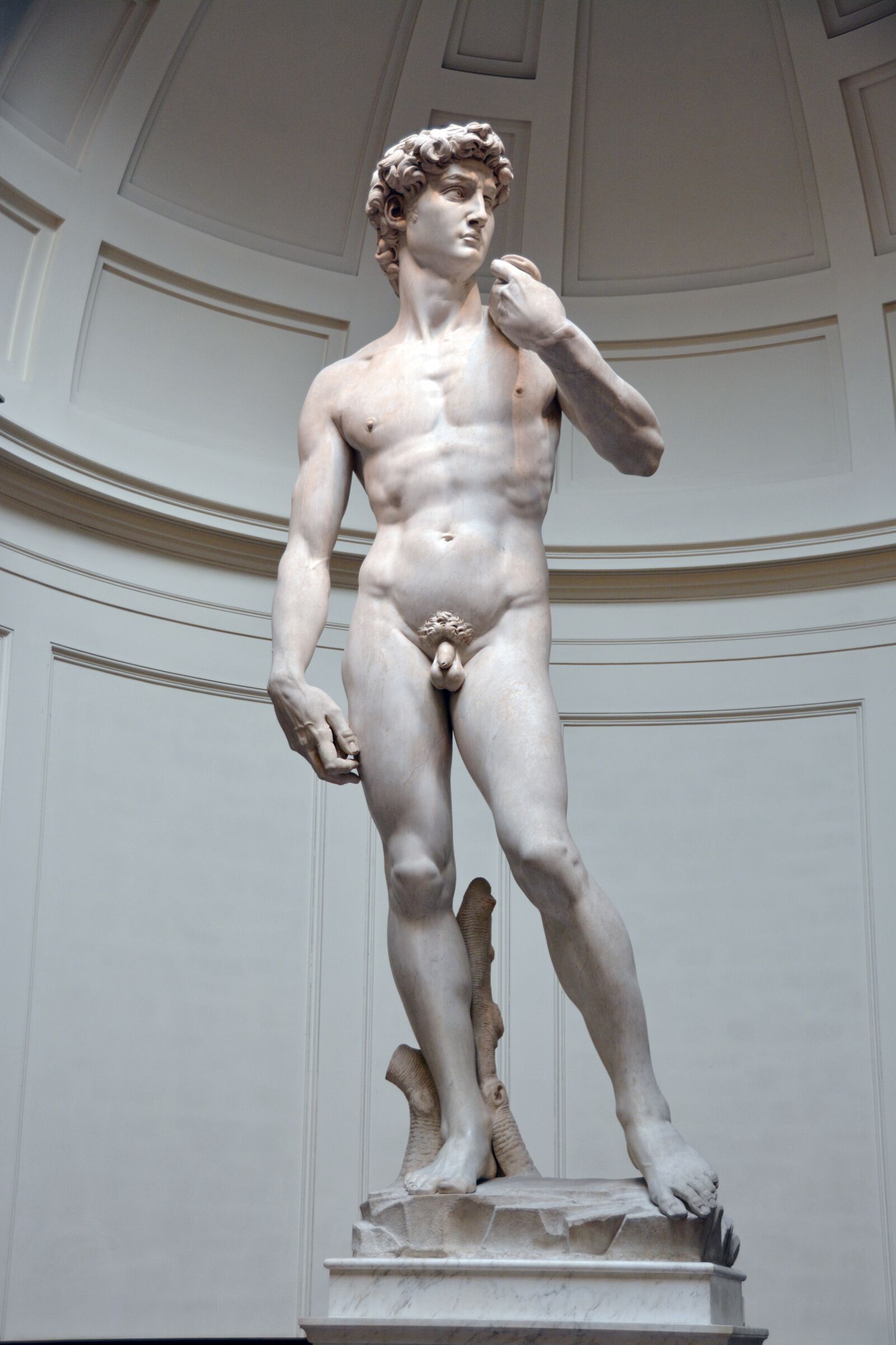 Nikon D7100 sample photo. David, michelangelo, florence photography