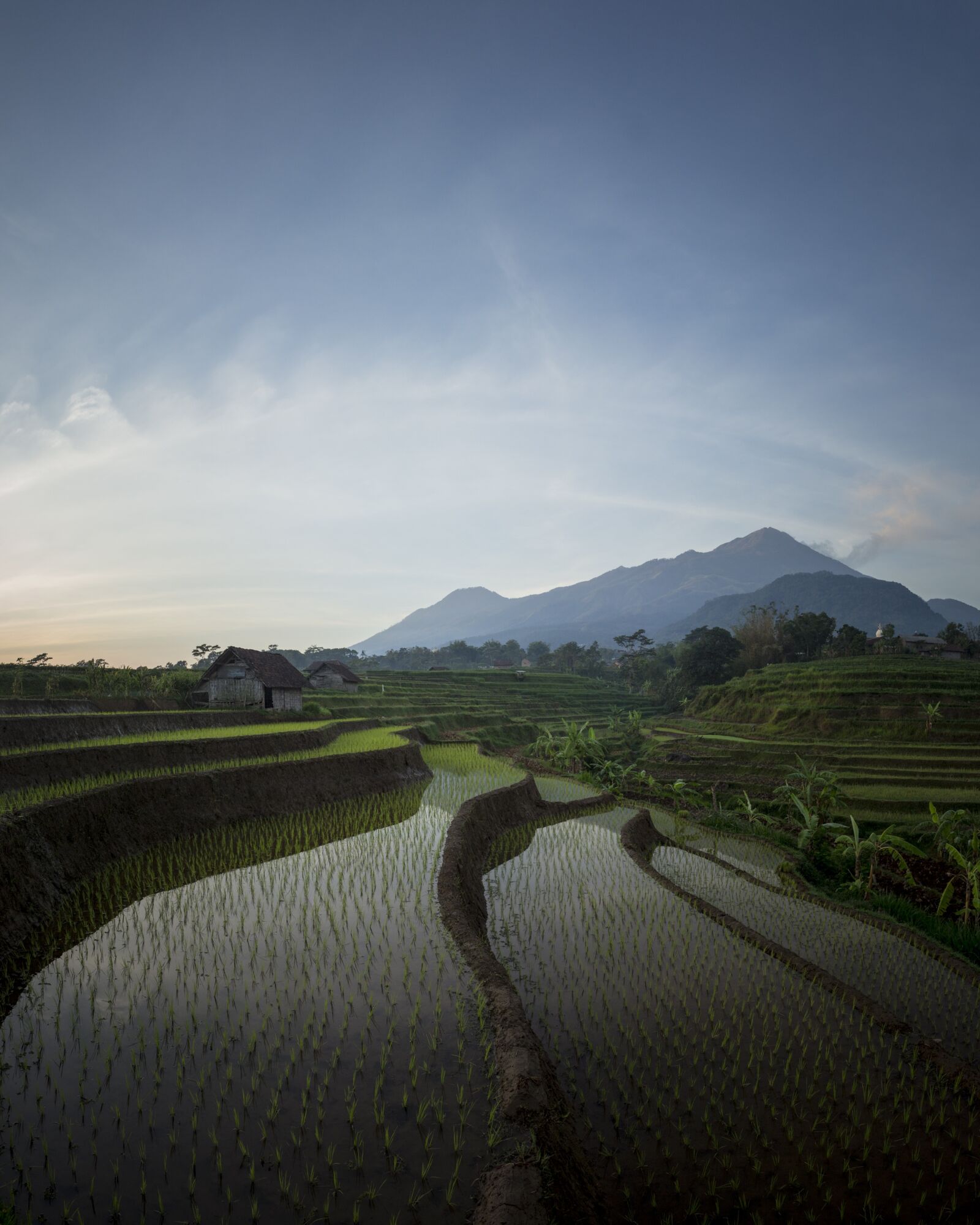 Canon EOS 700D (EOS Rebel T5i / EOS Kiss X7i) sample photo. Nature, field, the landscape photography