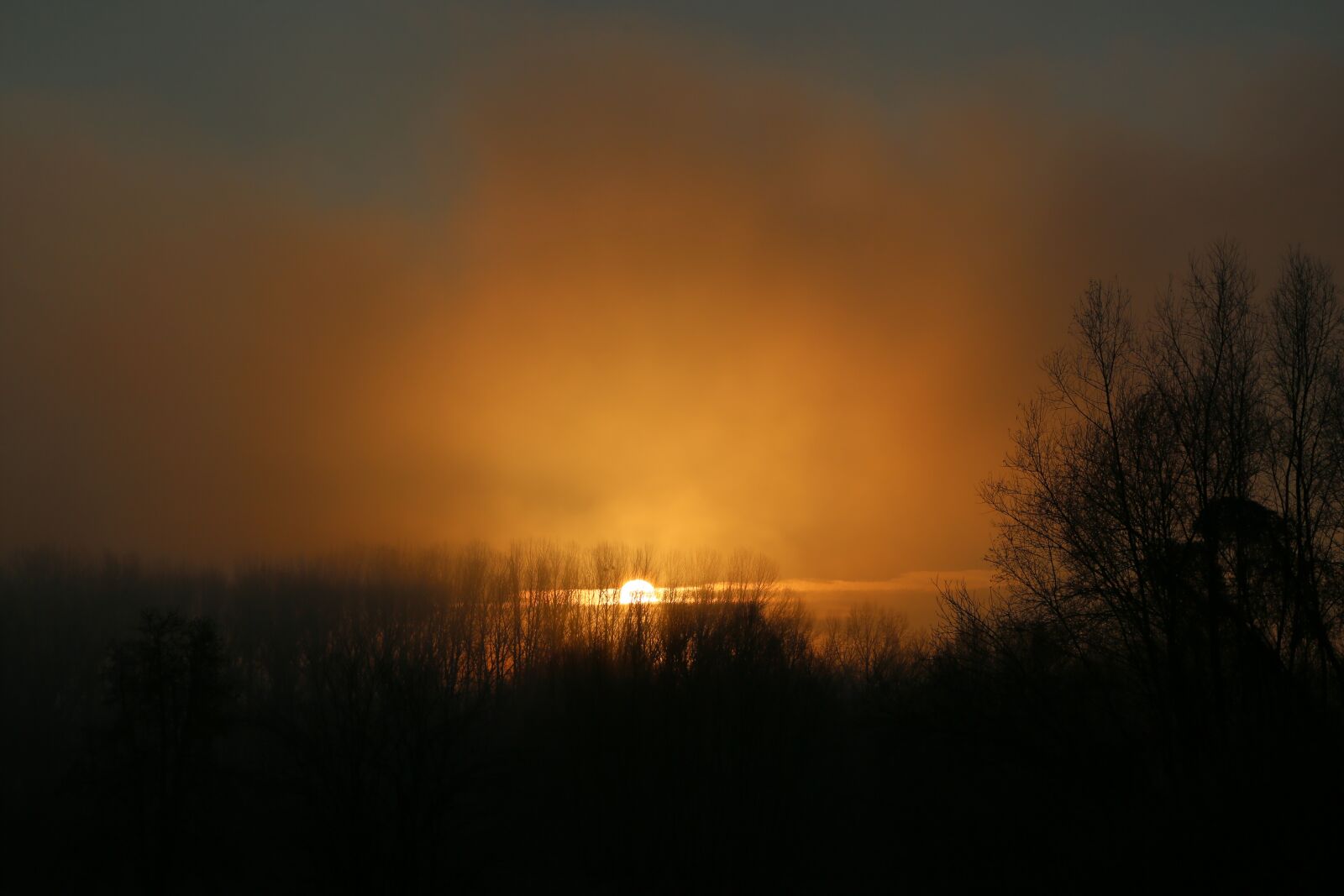 Canon EF 24-105mm F4L IS USM sample photo. Sunrise, light, morning photography
