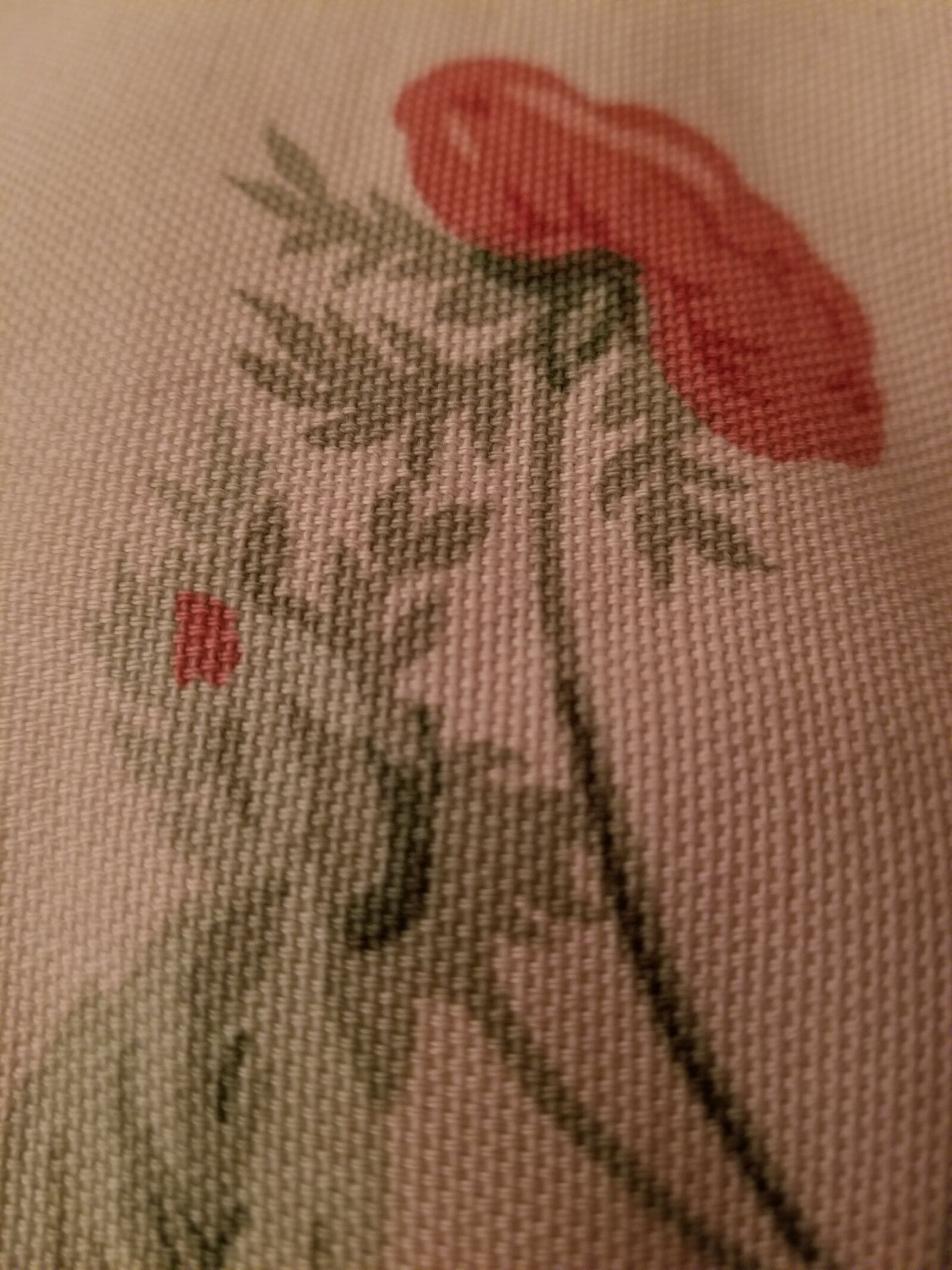 Samsung Galaxy S8+ sample photo. Flower, fabric, red flower photography