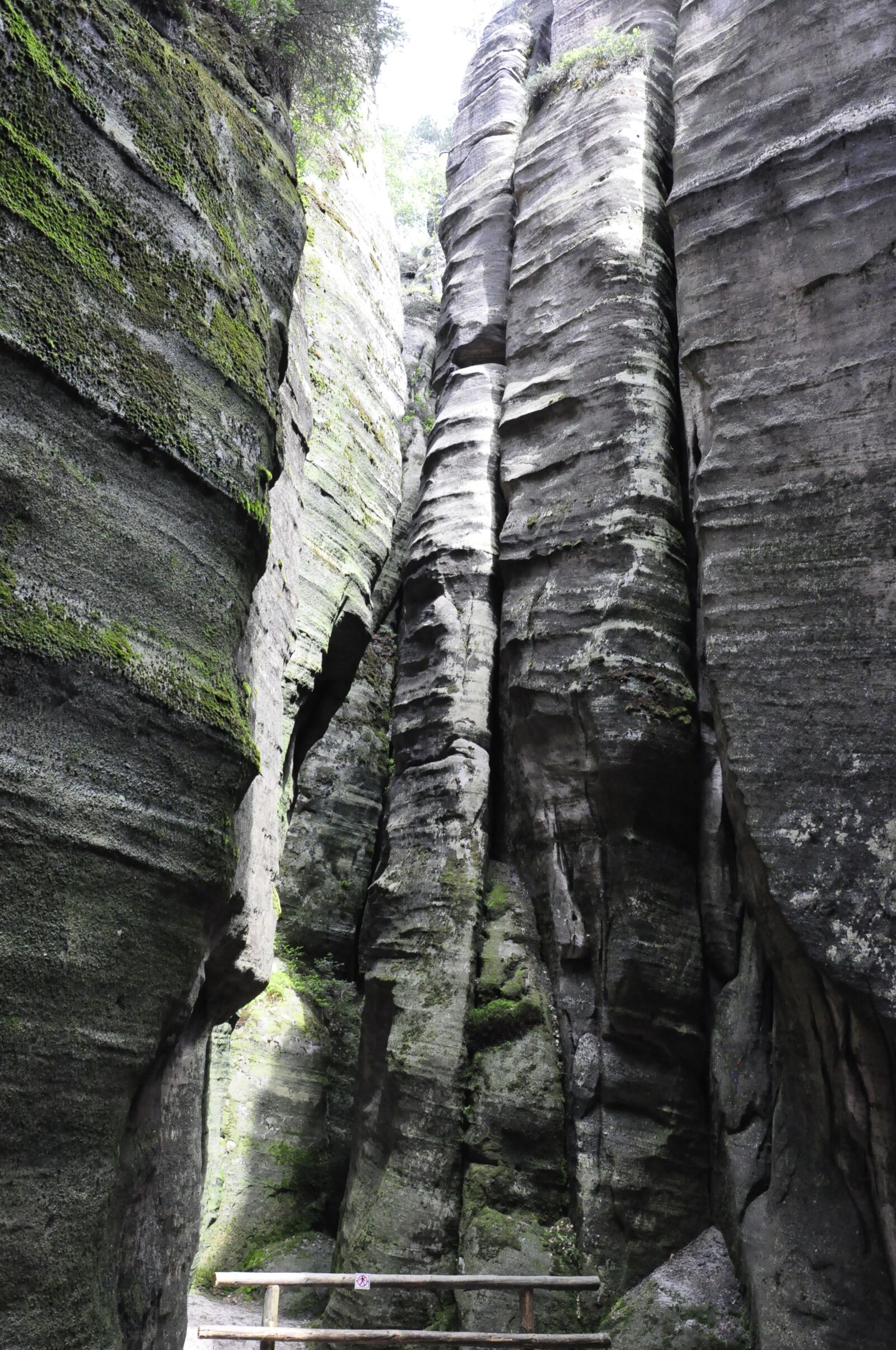 Nikon D5000 sample photo. Ardspach, mountains, czech republic photography