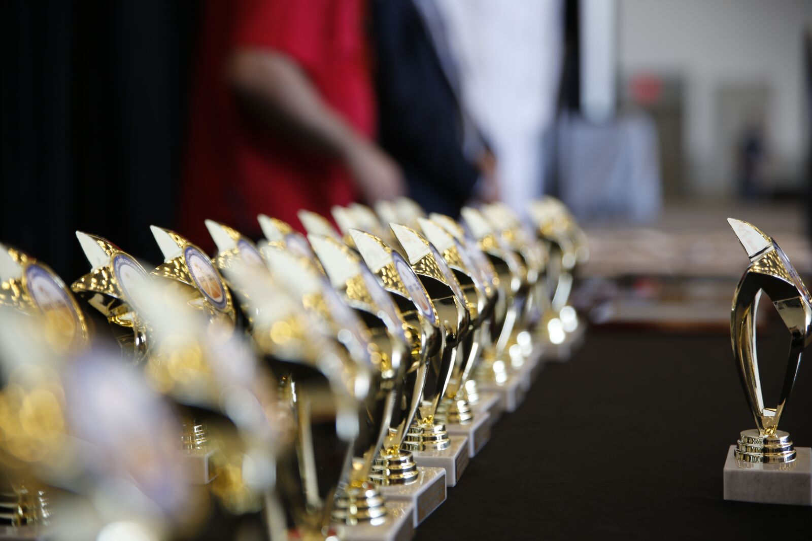 Canon EOS 5D Mark III sample photo. Awards, win, success photography
