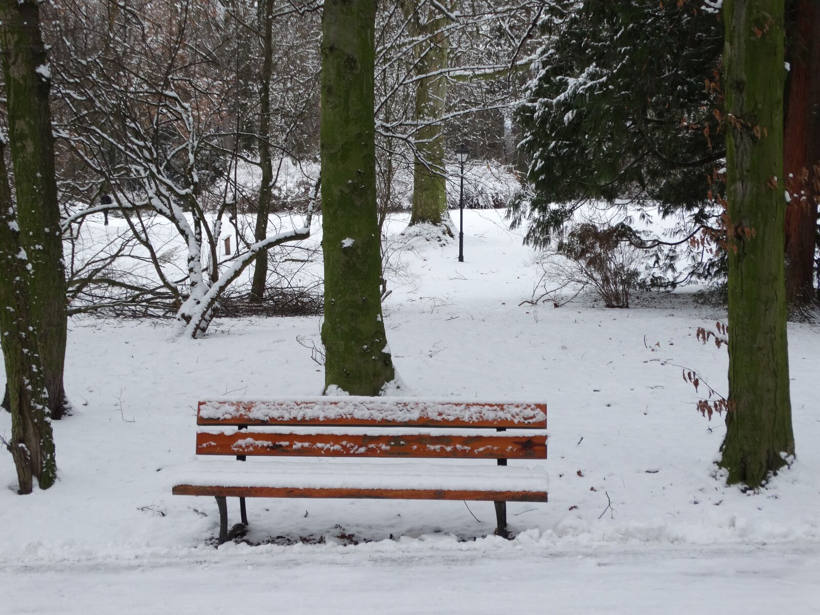 Sony Cyber-shot DSC-HX300 sample photo. Bench, winter, snow photography
