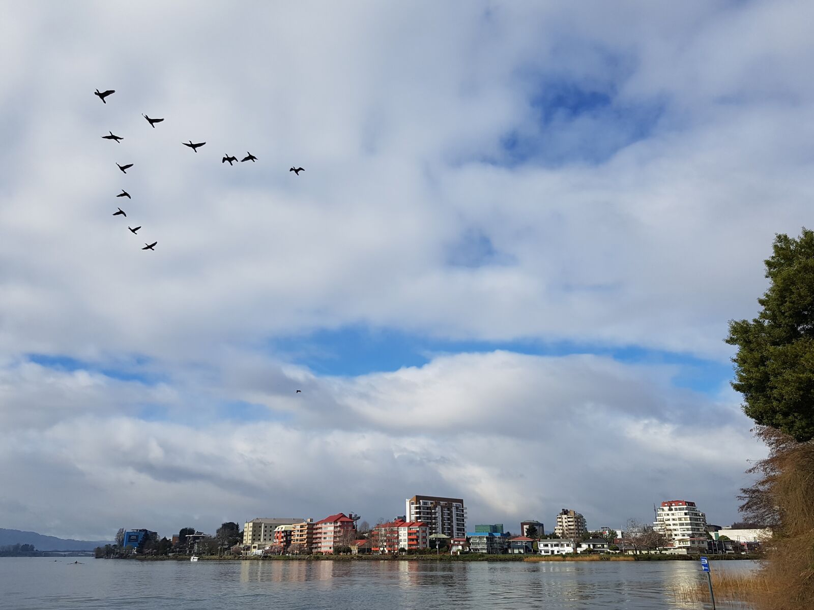 Samsung Galaxy S7 sample photo. Birds, city, cloudy, sky photography