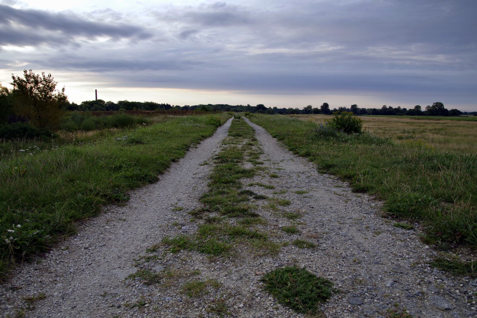 Pentax K-S2 sample photo. Way, field, pebble photography