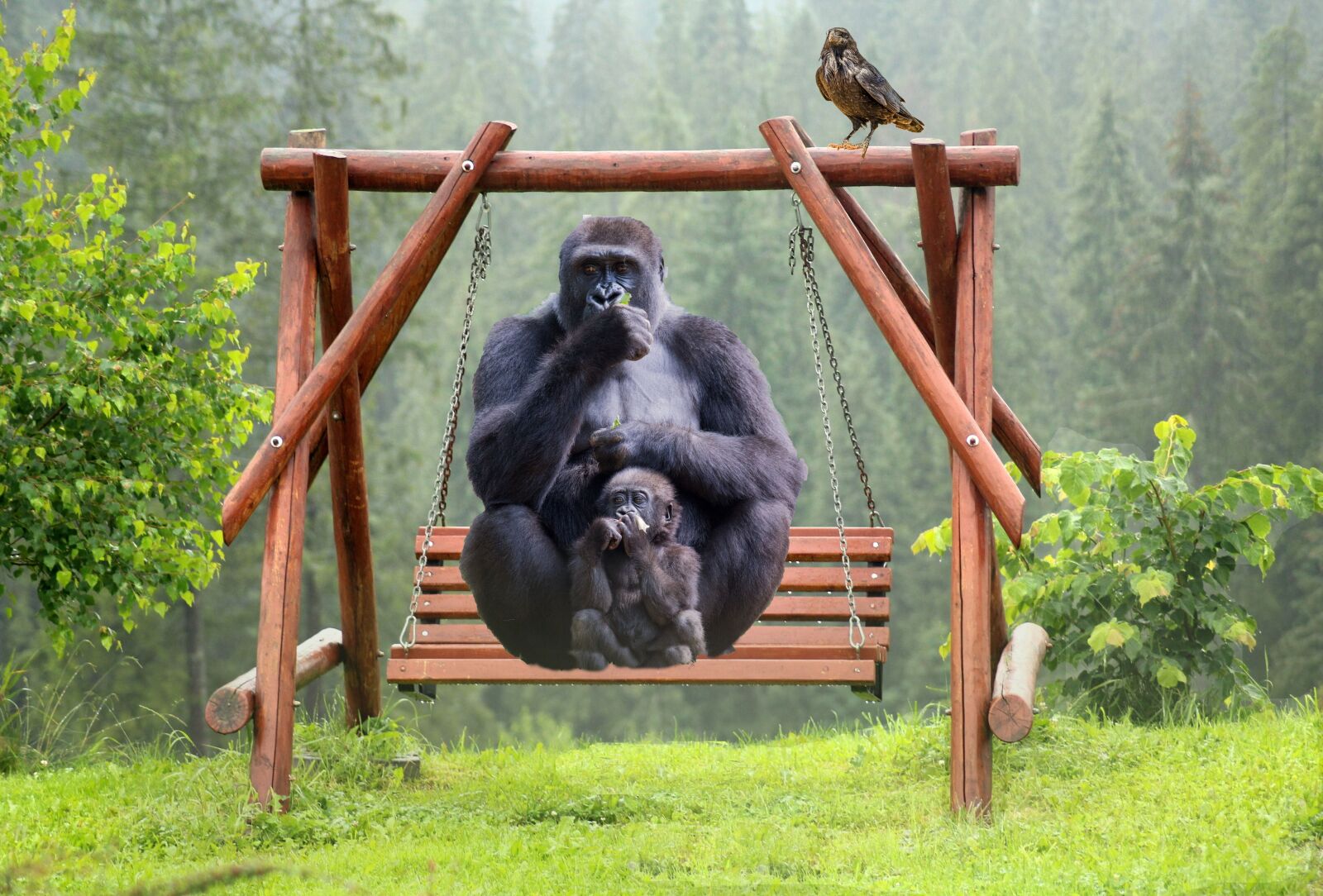 Canon EOS 1200D (EOS Rebel T5 / EOS Kiss X70 / EOS Hi) sample photo. Gorilla, leisure, swing photography