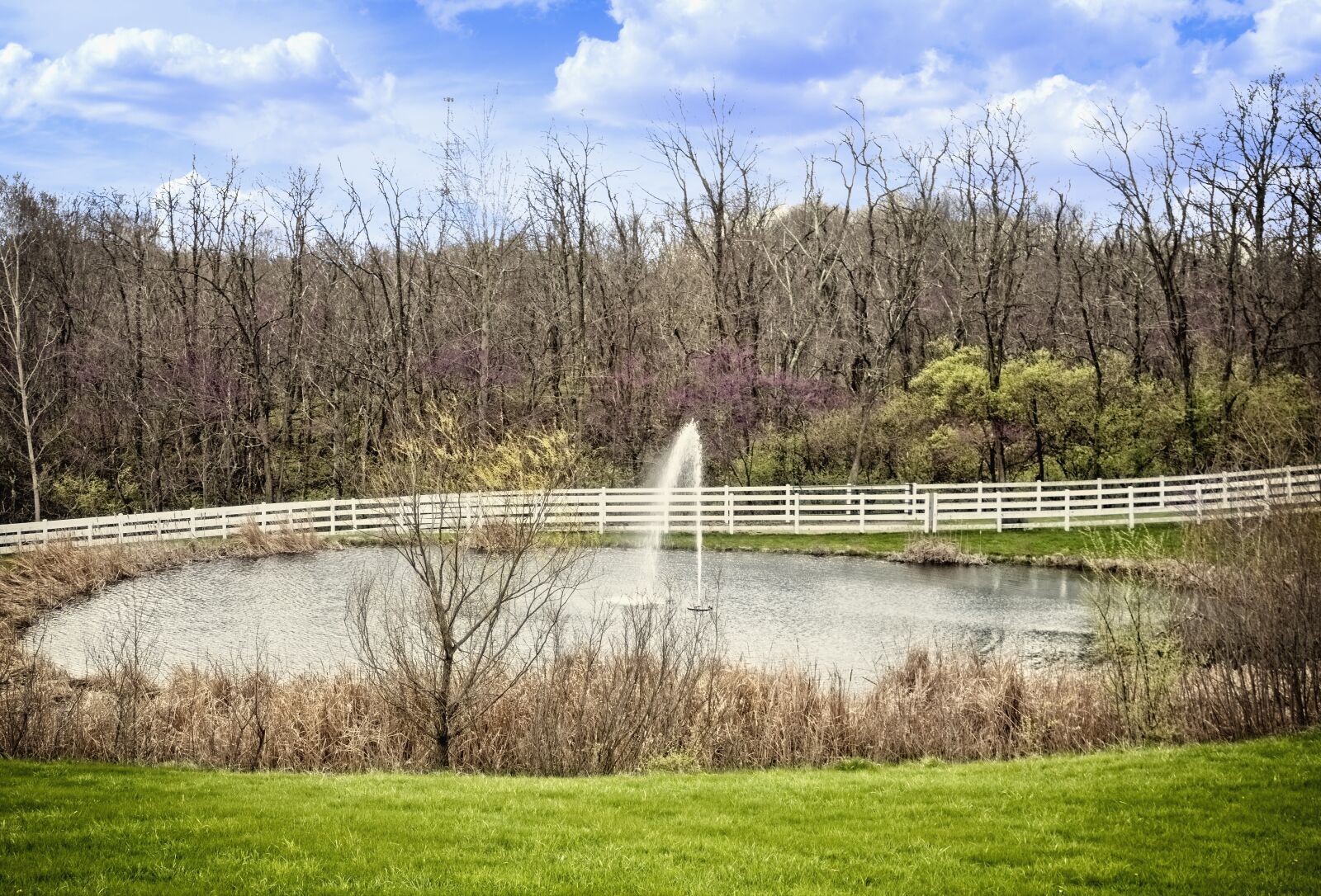 Canon EOS 5D Mark II sample photo. Pond, scenery, trees photography