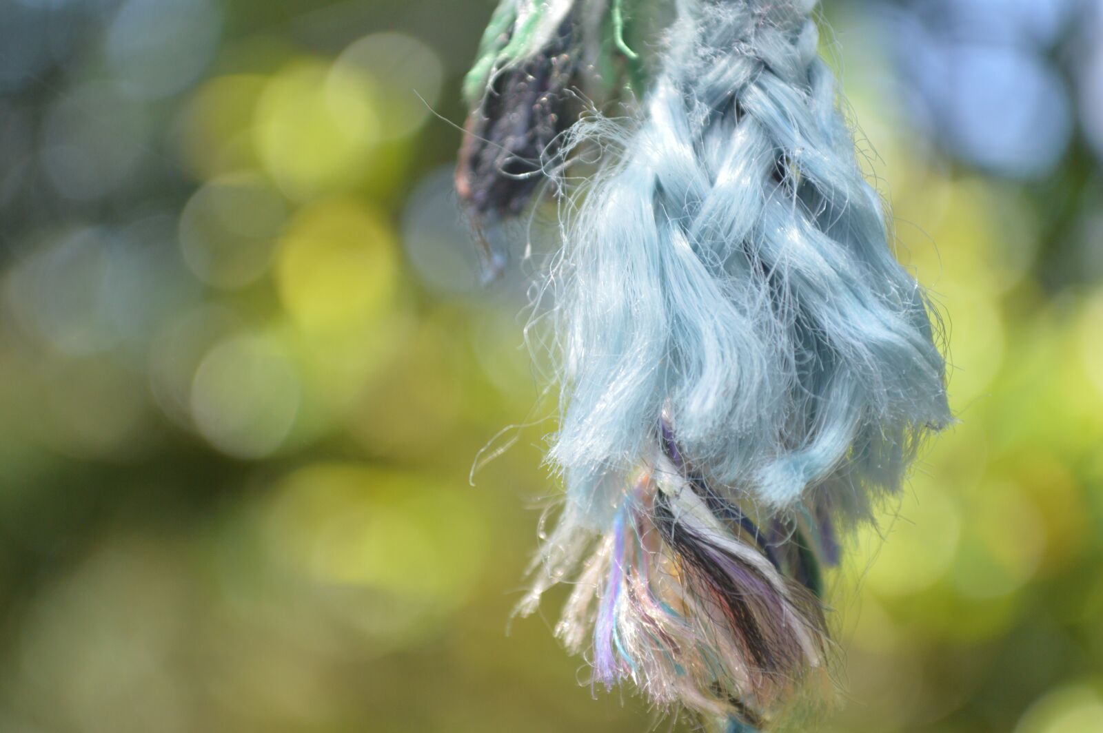 Nikon D3200 sample photo. Roap, colourful, bush photography