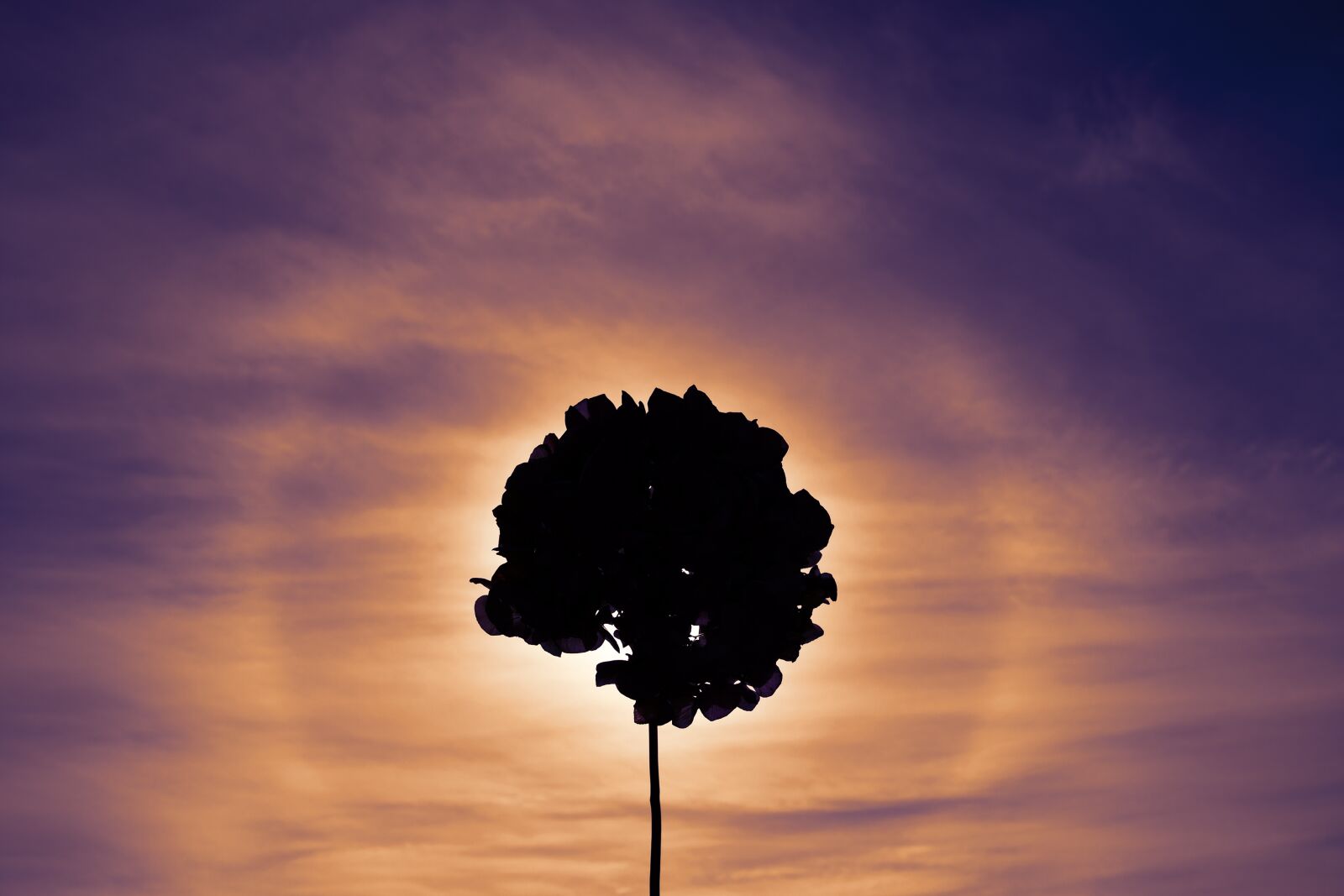 Nikon D7500 sample photo. Dawn, sunrise, in the photography