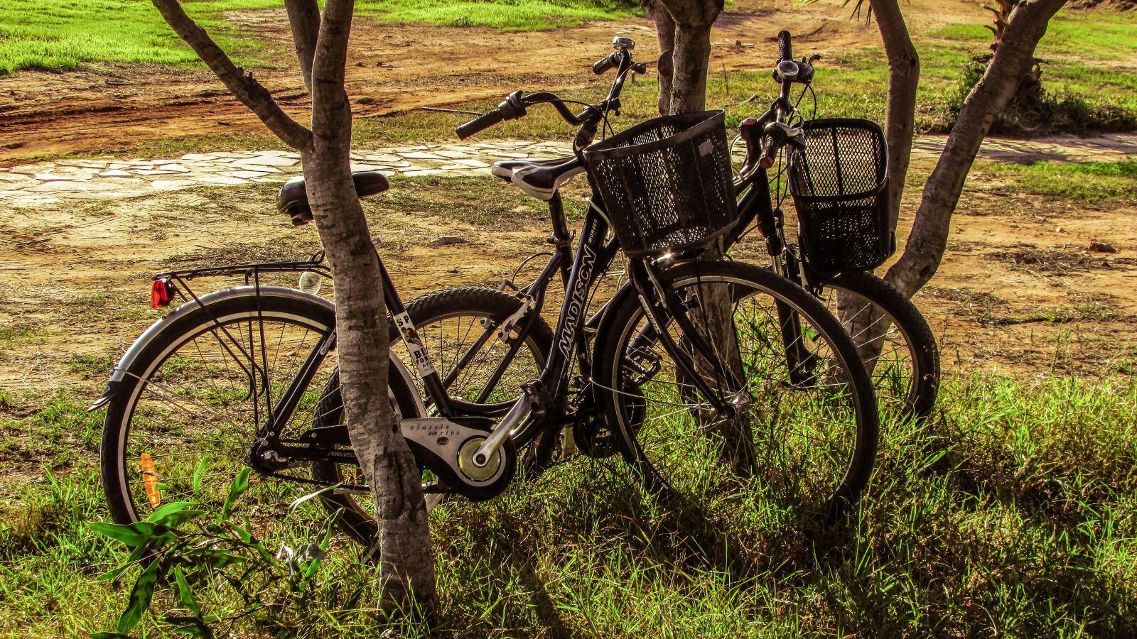 Canon PowerShot SX400 IS sample photo. Bicycles, nature, fall photography