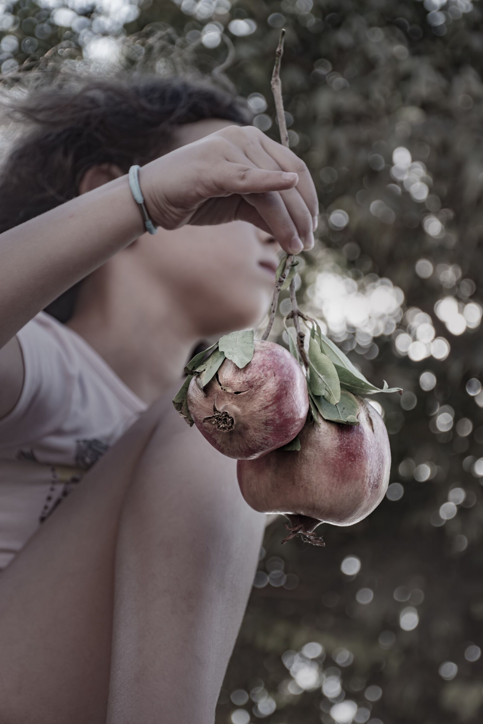 Nikon D5600 sample photo. Girl, pomegranate, jewish new photography