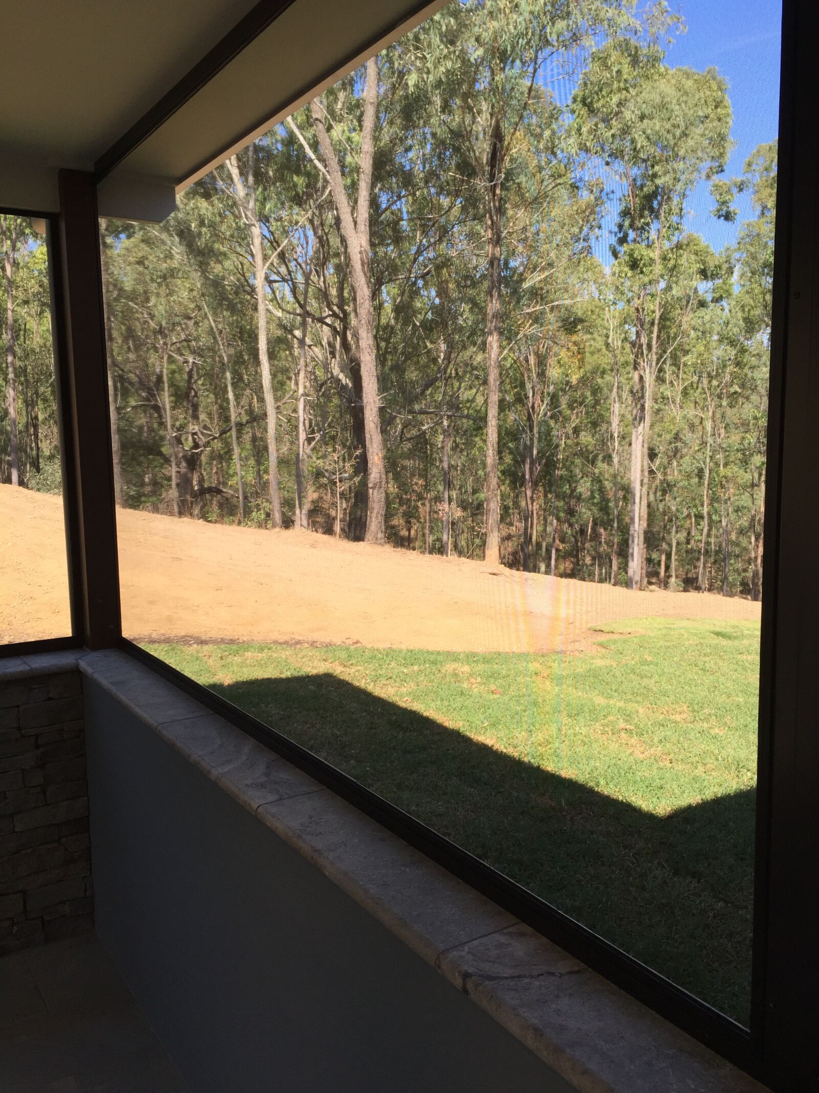 iPhone 6 back camera 4.15mm f/2.2 sample photo. Insect, screen, patio photography