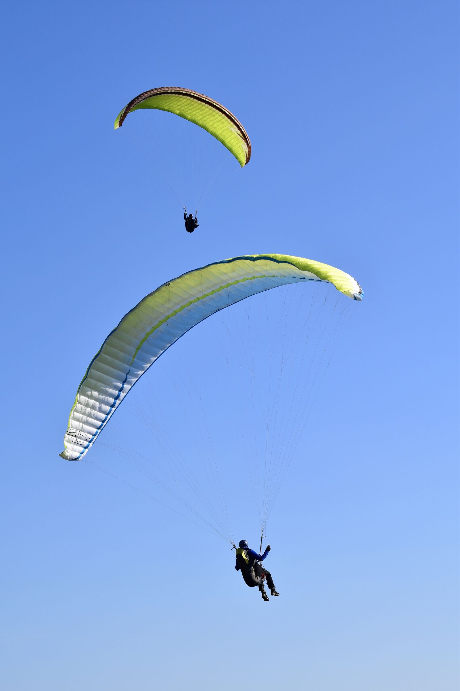 Nikon D5600 sample photo. Paragliding, paraglider, sport photography