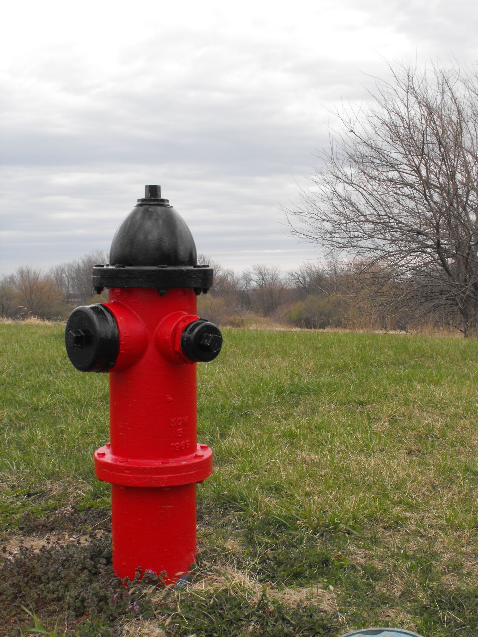 Fujifilm FinePix S1000fd sample photo. Hydrant, fire, fire hydrant photography